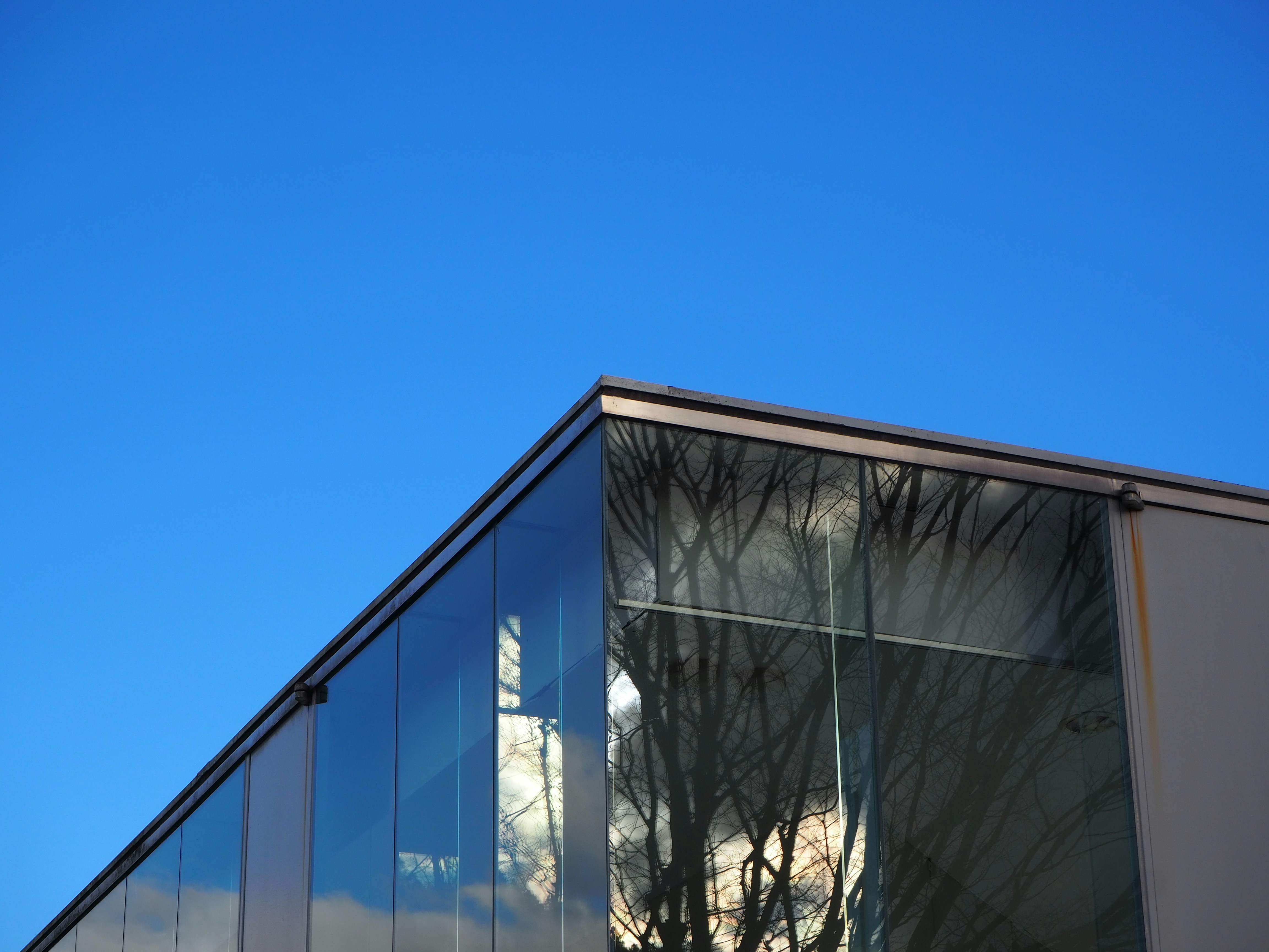 Photo by natski_takada