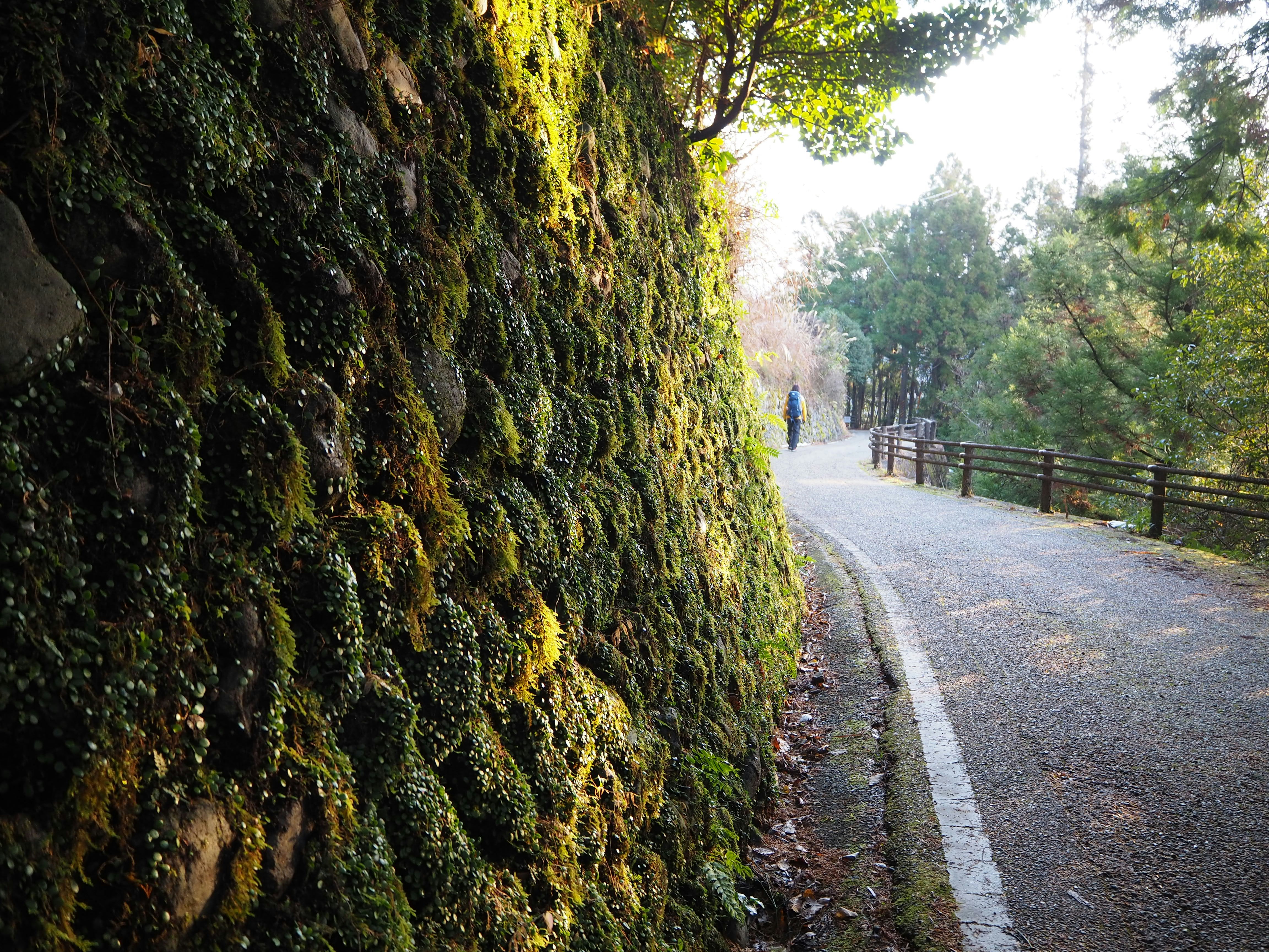 Photo by natski_takada