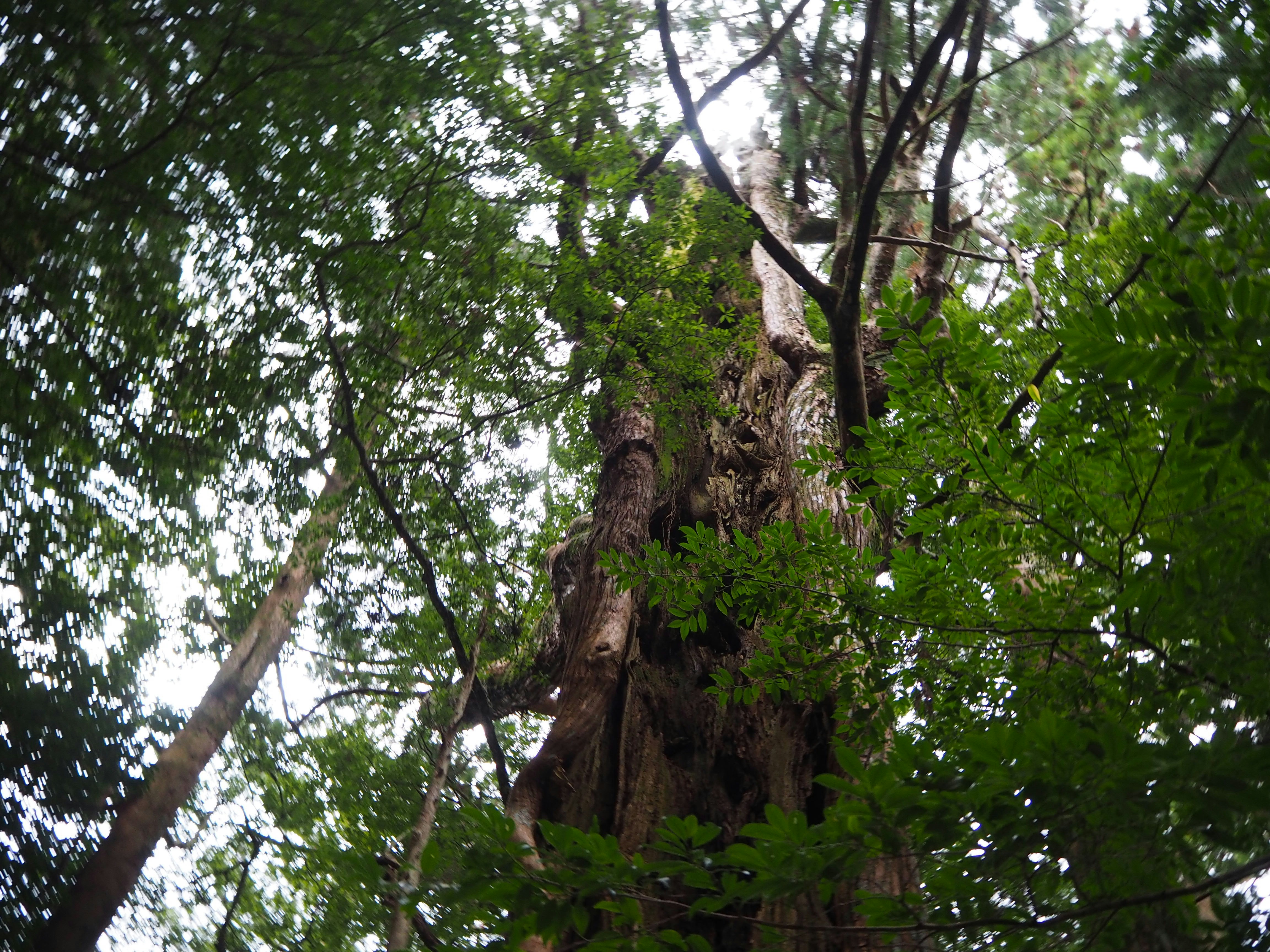 Photo by natski_takada