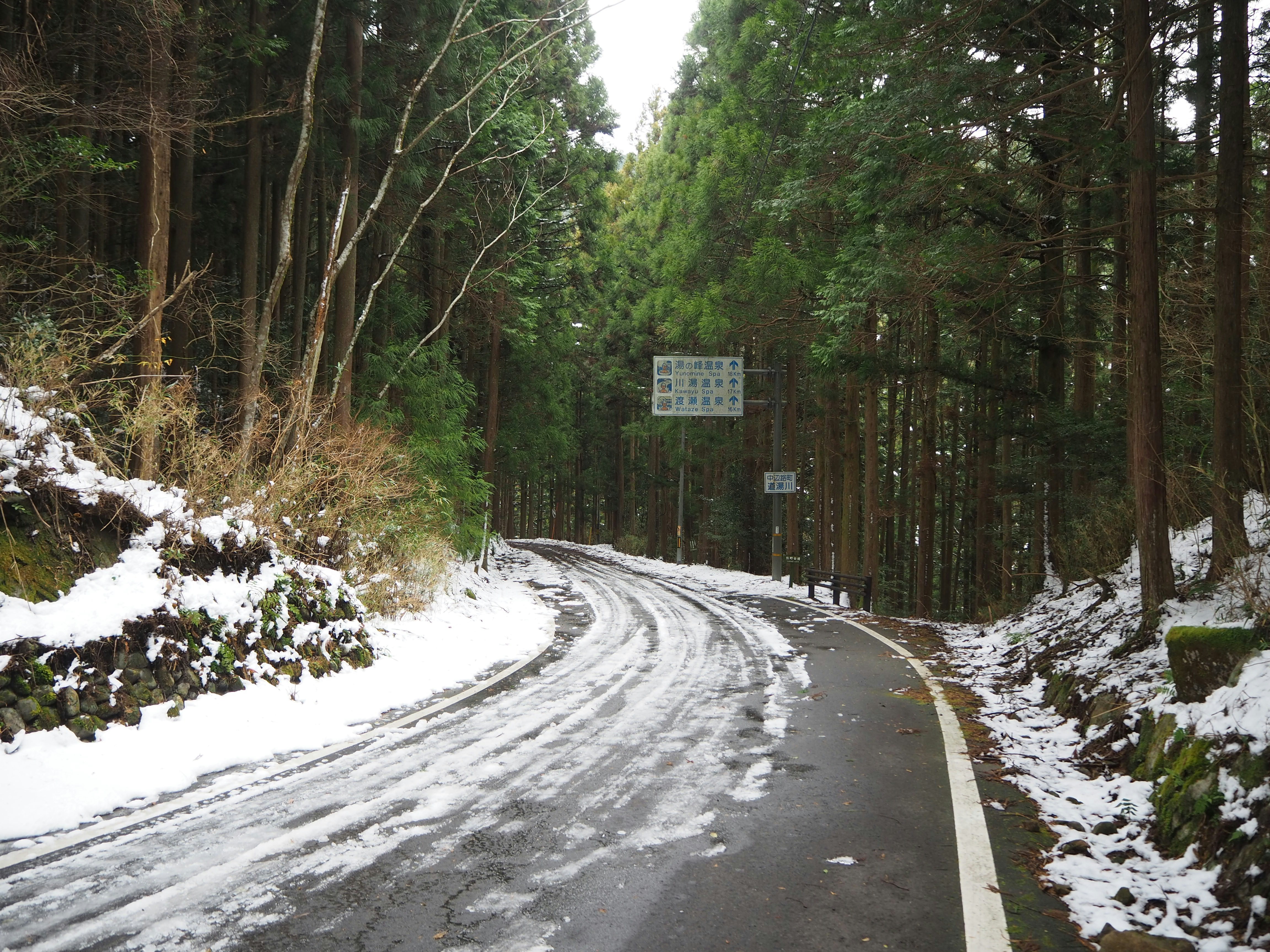 a snow covered road in the middle of a forest