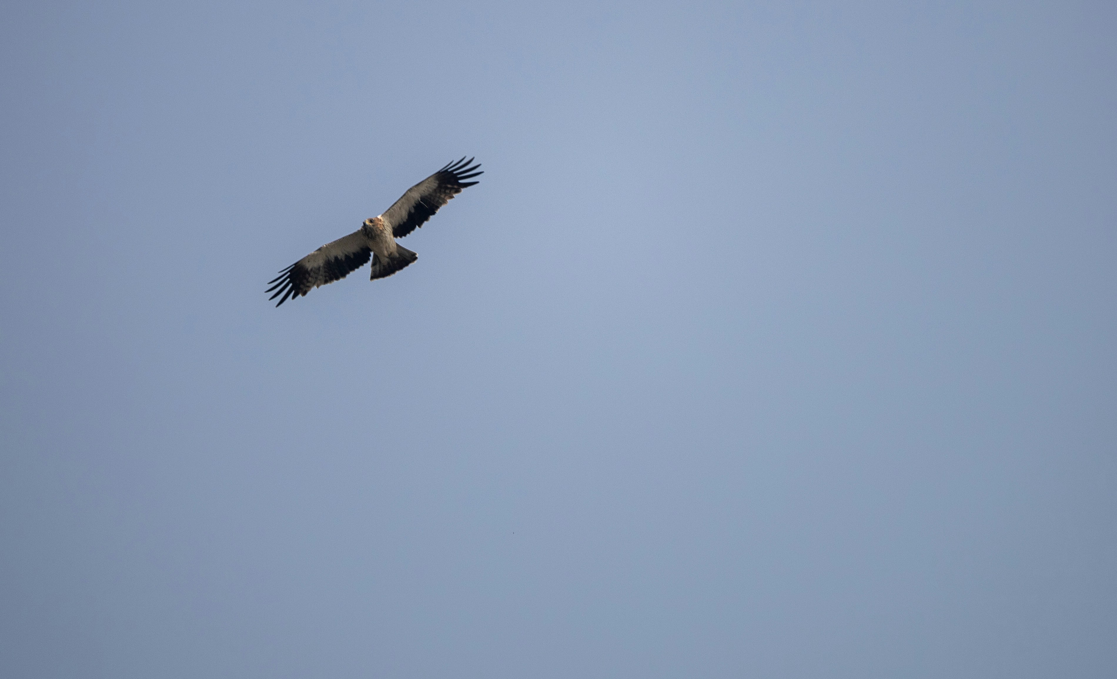 Photo by wildandbeyondbyvivek