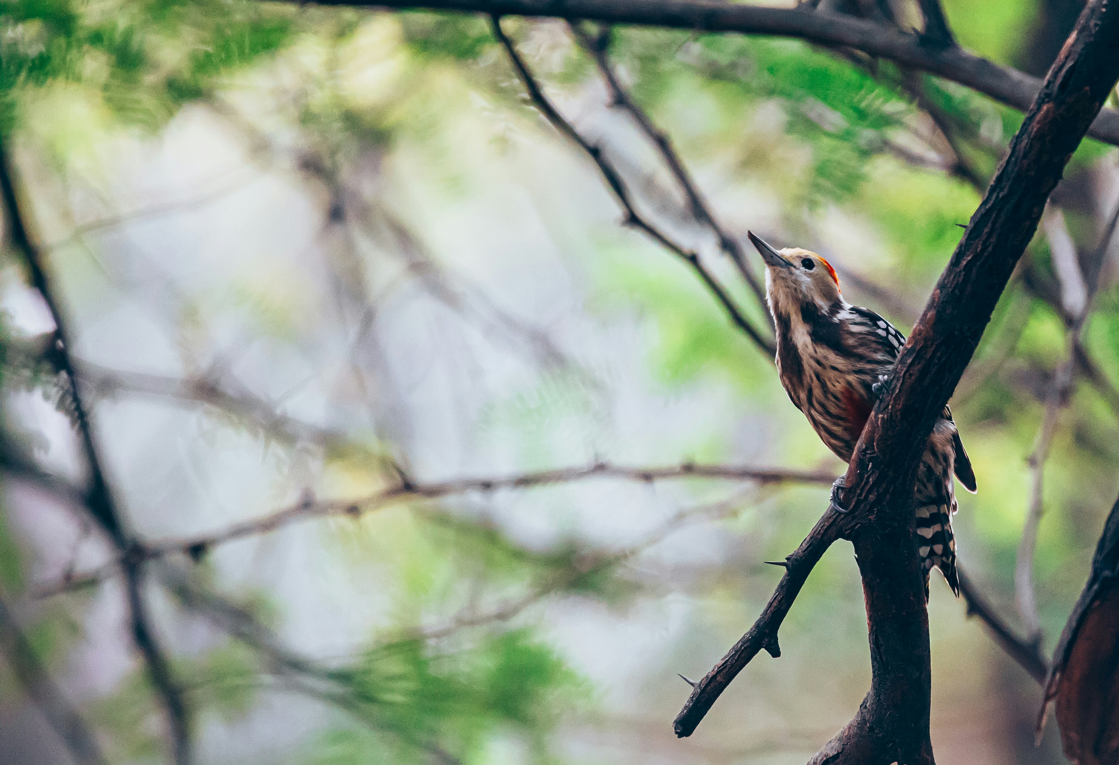 Photo by wildandbeyondbyvivek