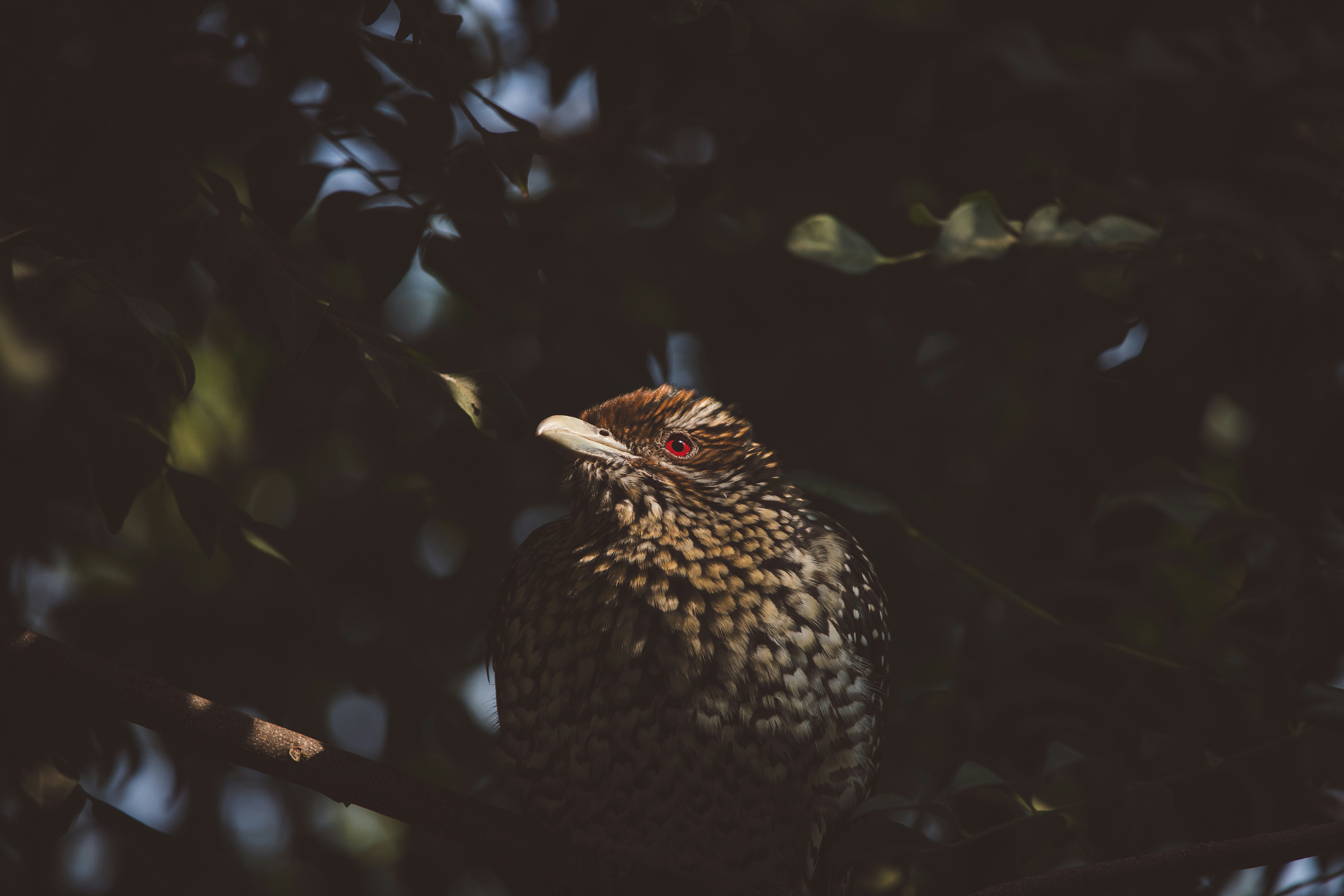Photo by wildandbeyondbyvivek