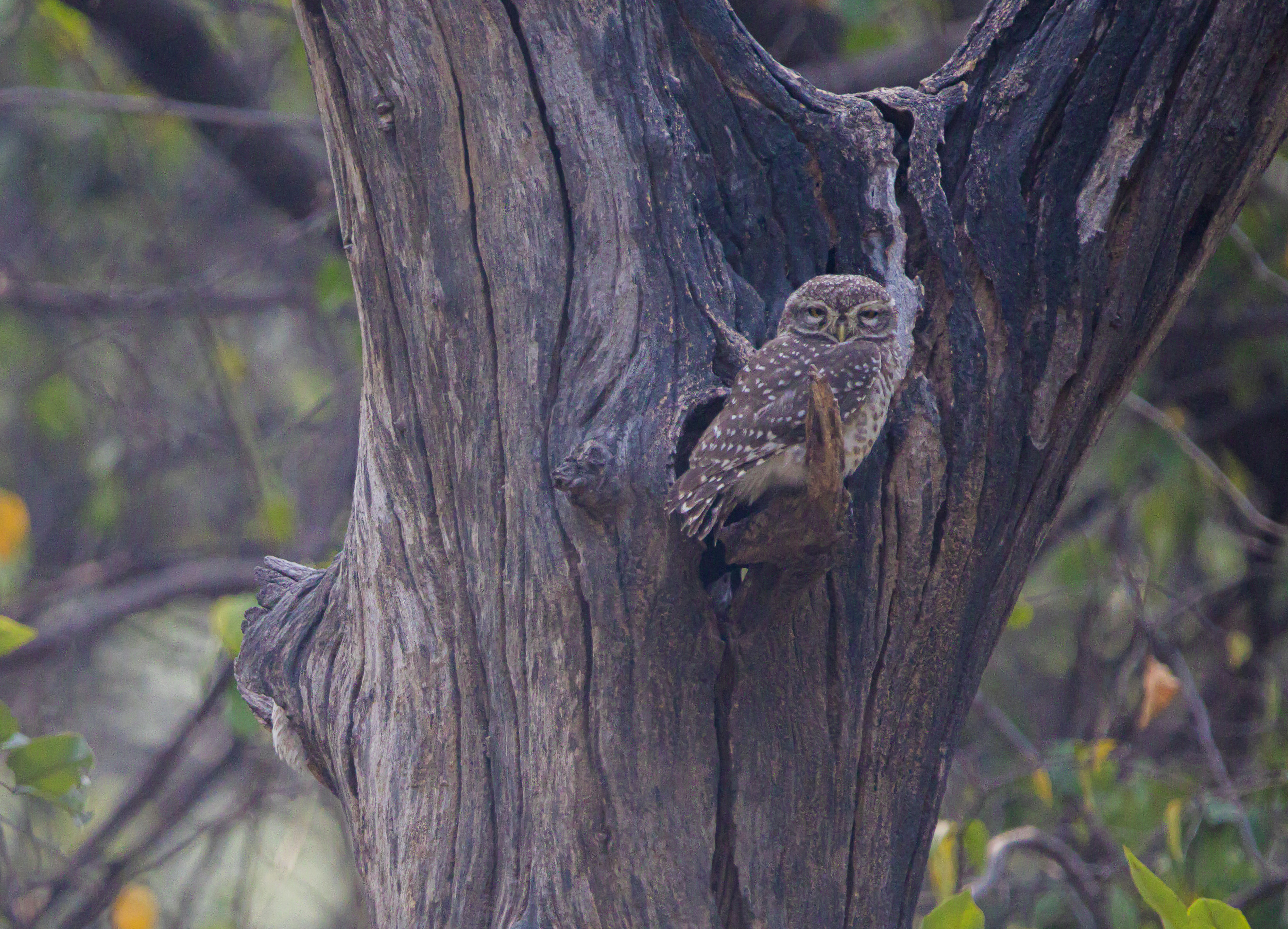 Photo by wildandbeyondbyvivek