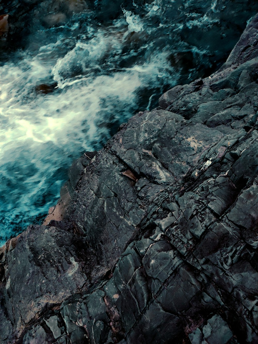 a bird sitting on top of a rock next to a body of water