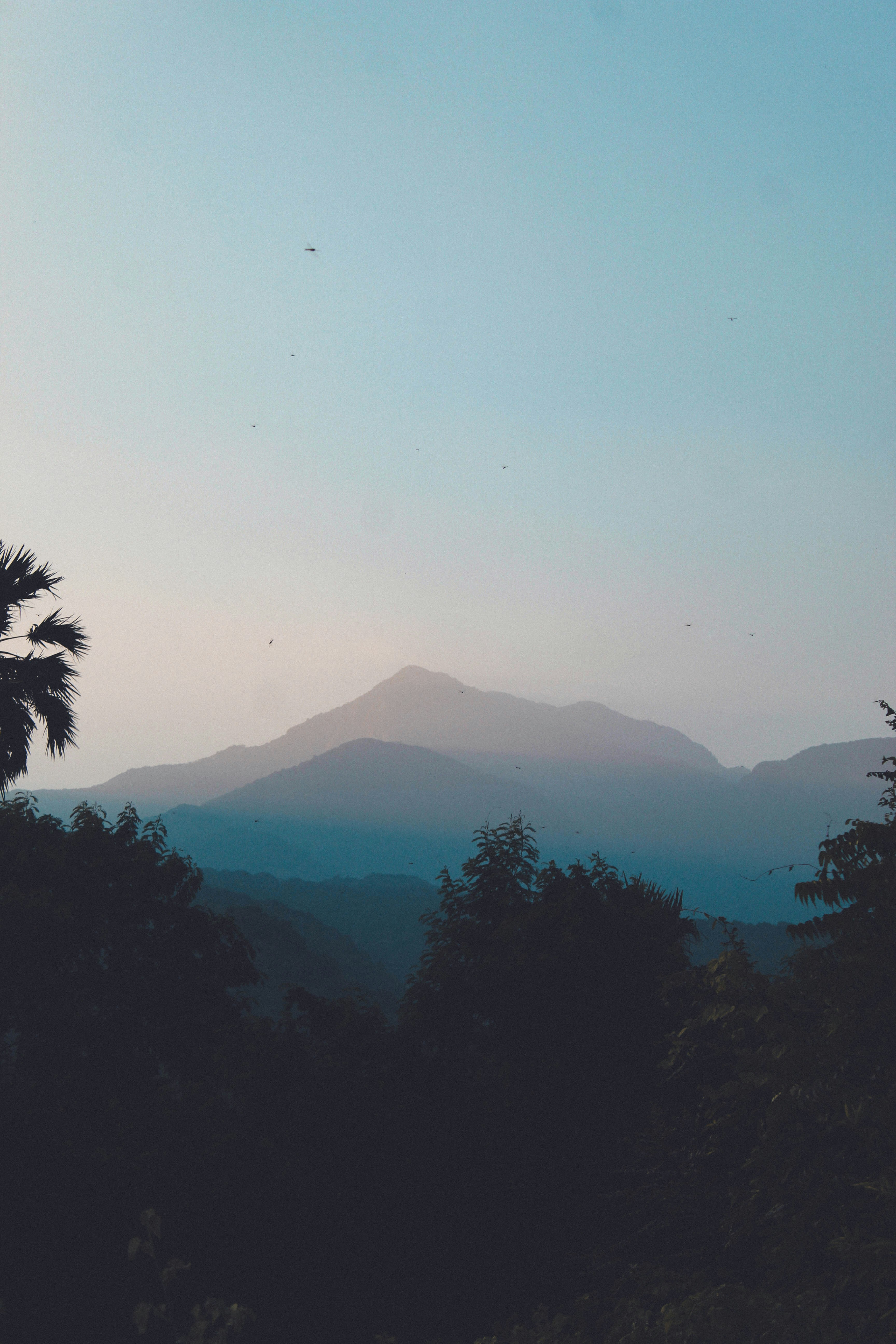 Photo by linsartistry