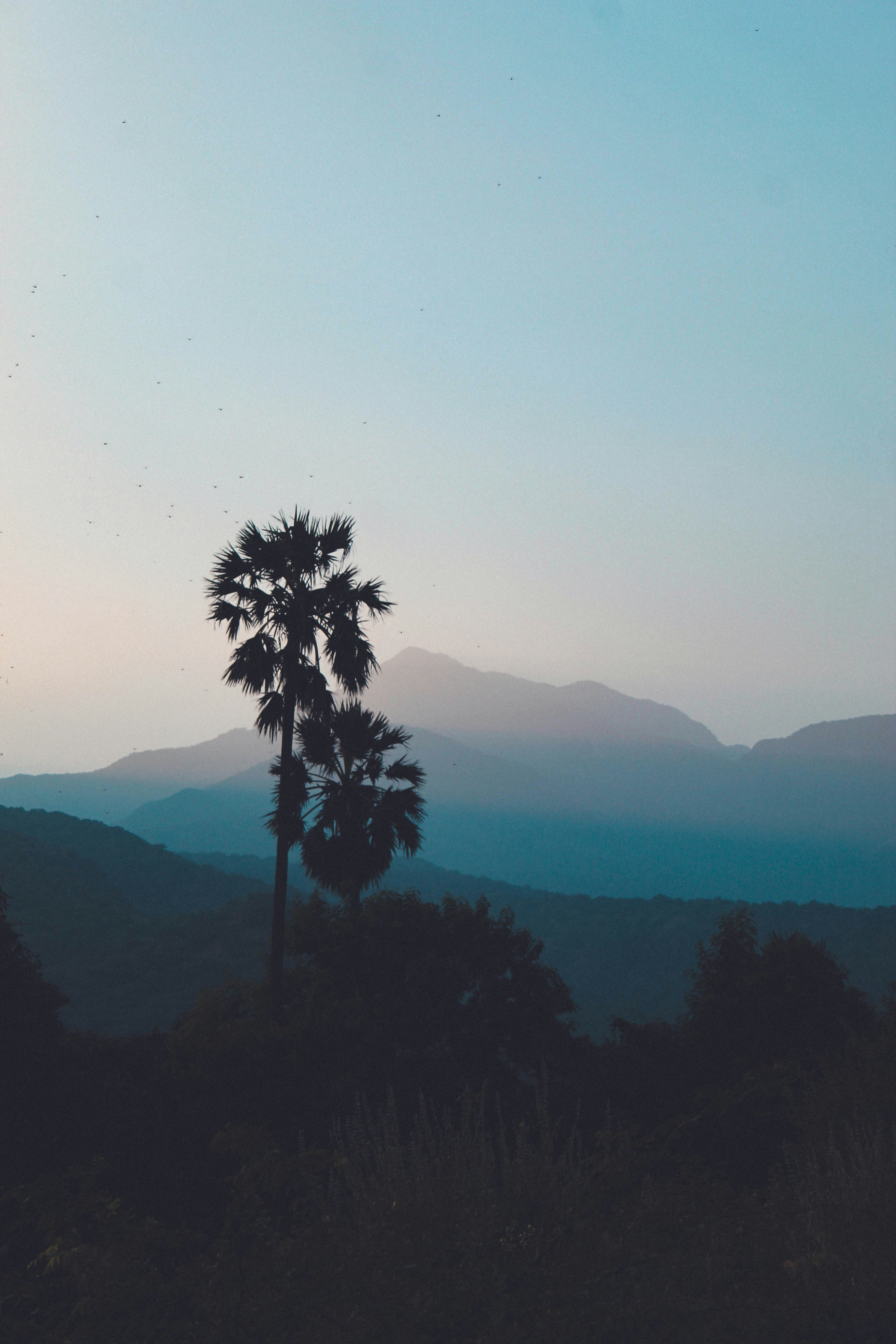 Photo by linsartistry