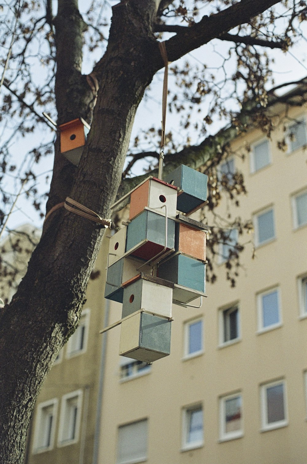 Una casa de pájaros colgando de un árbol frente a un edificio