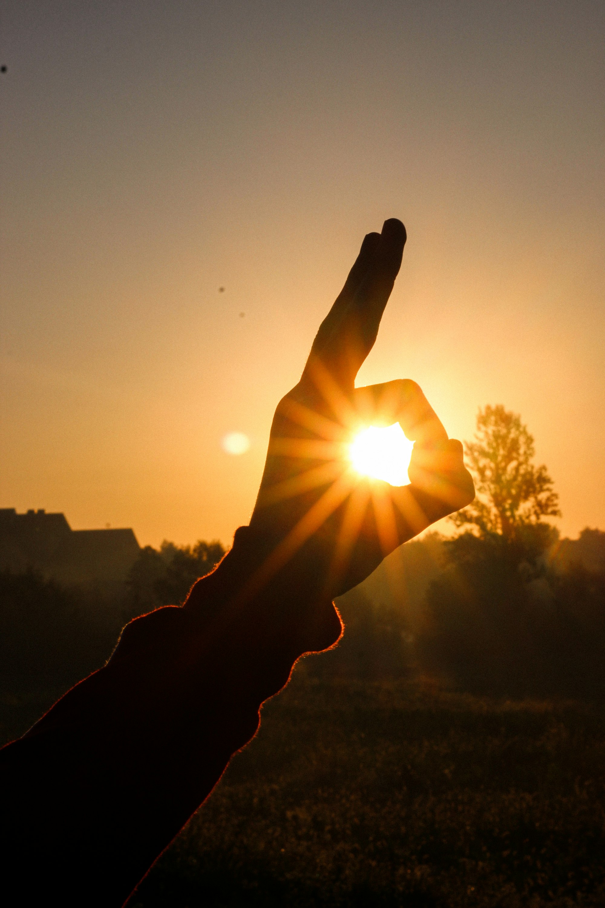 a person holding their hand up to the sun