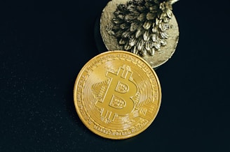 A golden Bitcoin coin with a large embossed Bitcoin symbol is positioned in front of a textured metallic object resembling a pine cone, set against a dark background.