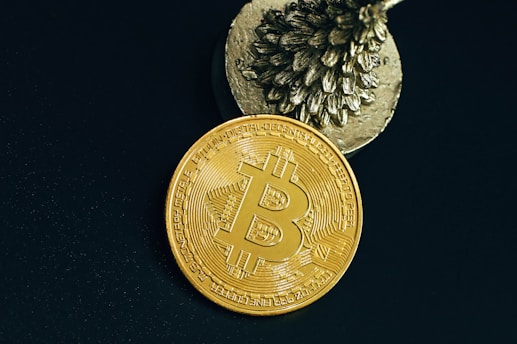 A golden Bitcoin coin with a large embossed Bitcoin symbol is positioned in front of a textured metallic object resembling a pine cone, set against a dark background.