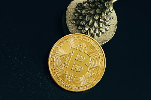 A golden Bitcoin coin with a large embossed Bitcoin symbol is positioned in front of a textured metallic object resembling a pine cone, set against a dark background.