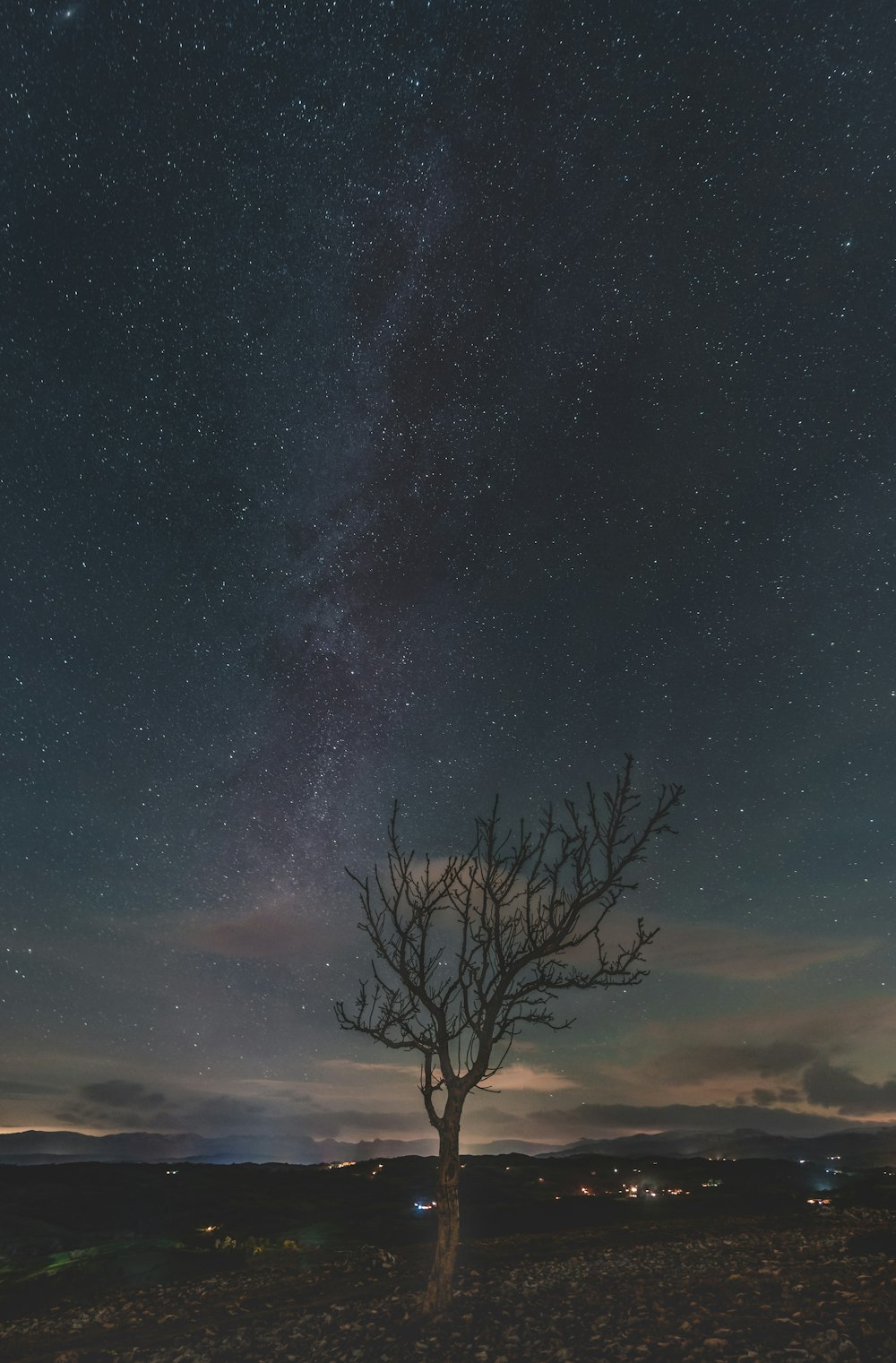 a lone tree in the middle of a field under a night sky