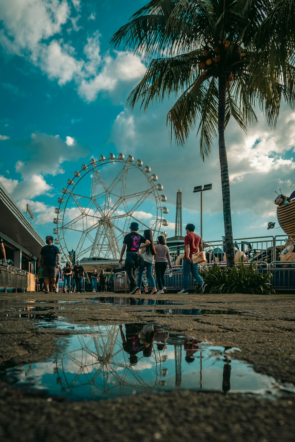 a group of people standing next to a palm tree