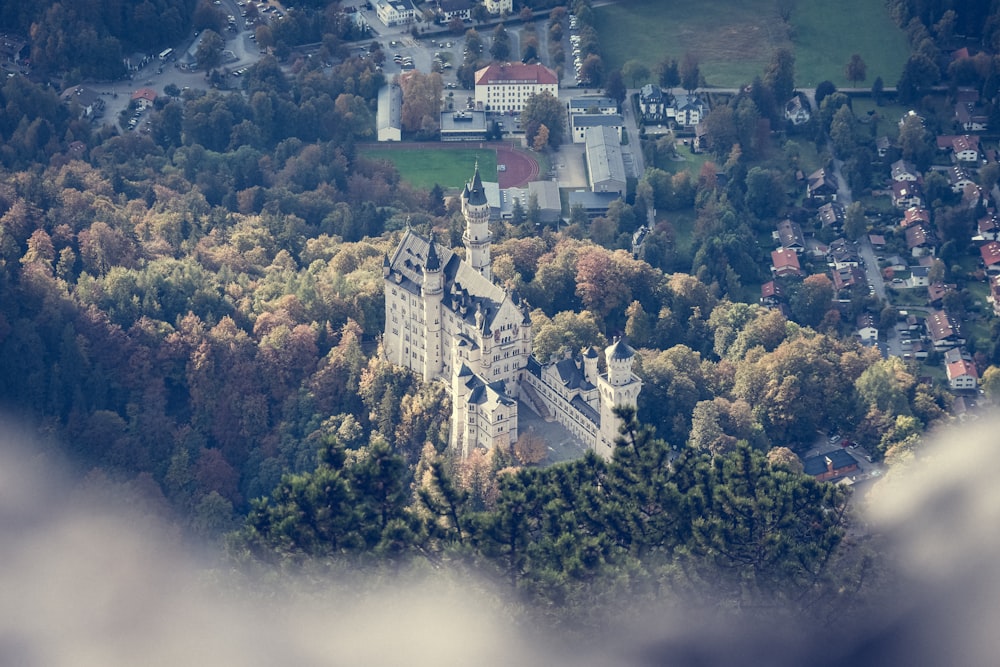 Una vista aérea de un castillo rodeado de árboles