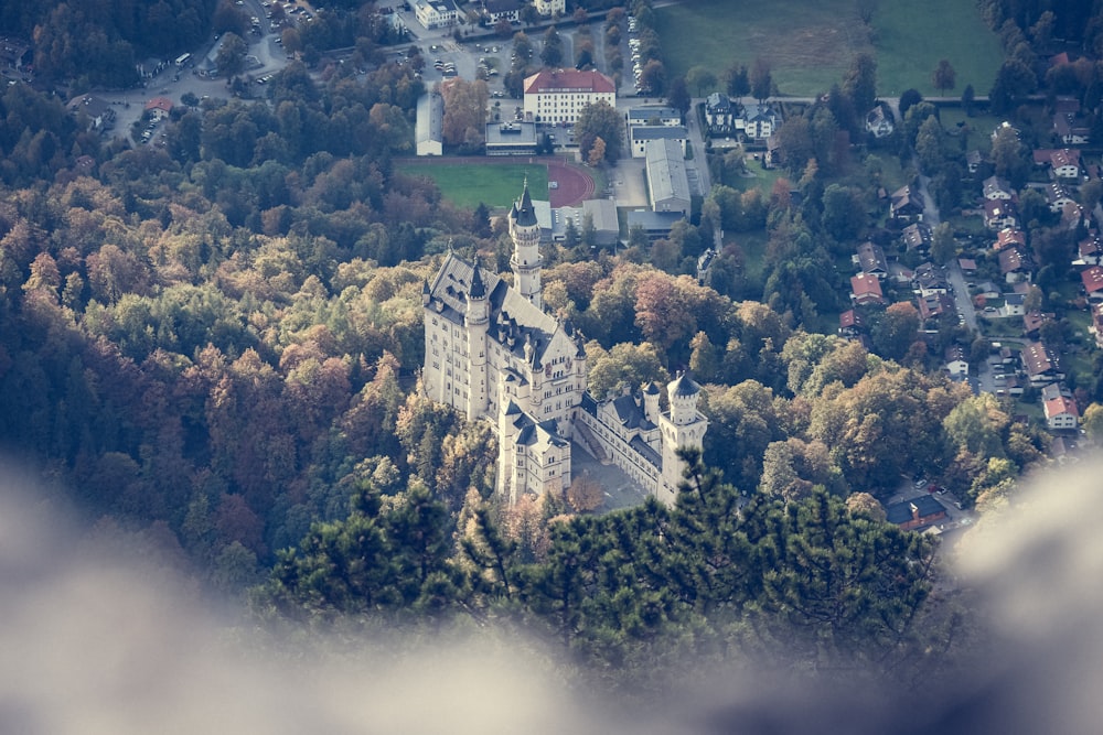 an aerial view of a castle surrounded by trees