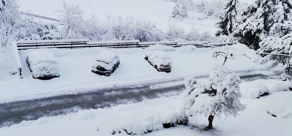 Autos sind an einem verschneiten Tag mit Schnee bedeckt