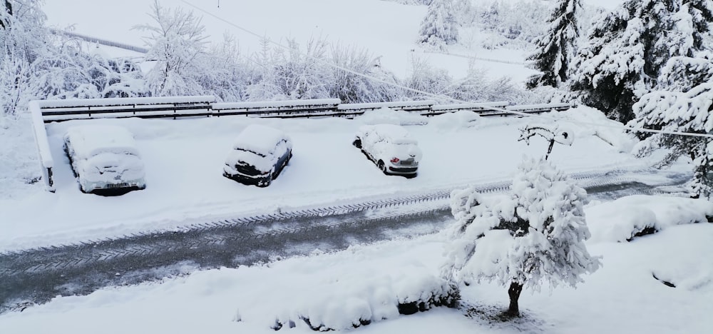 cars are covered in snow on a snowy day