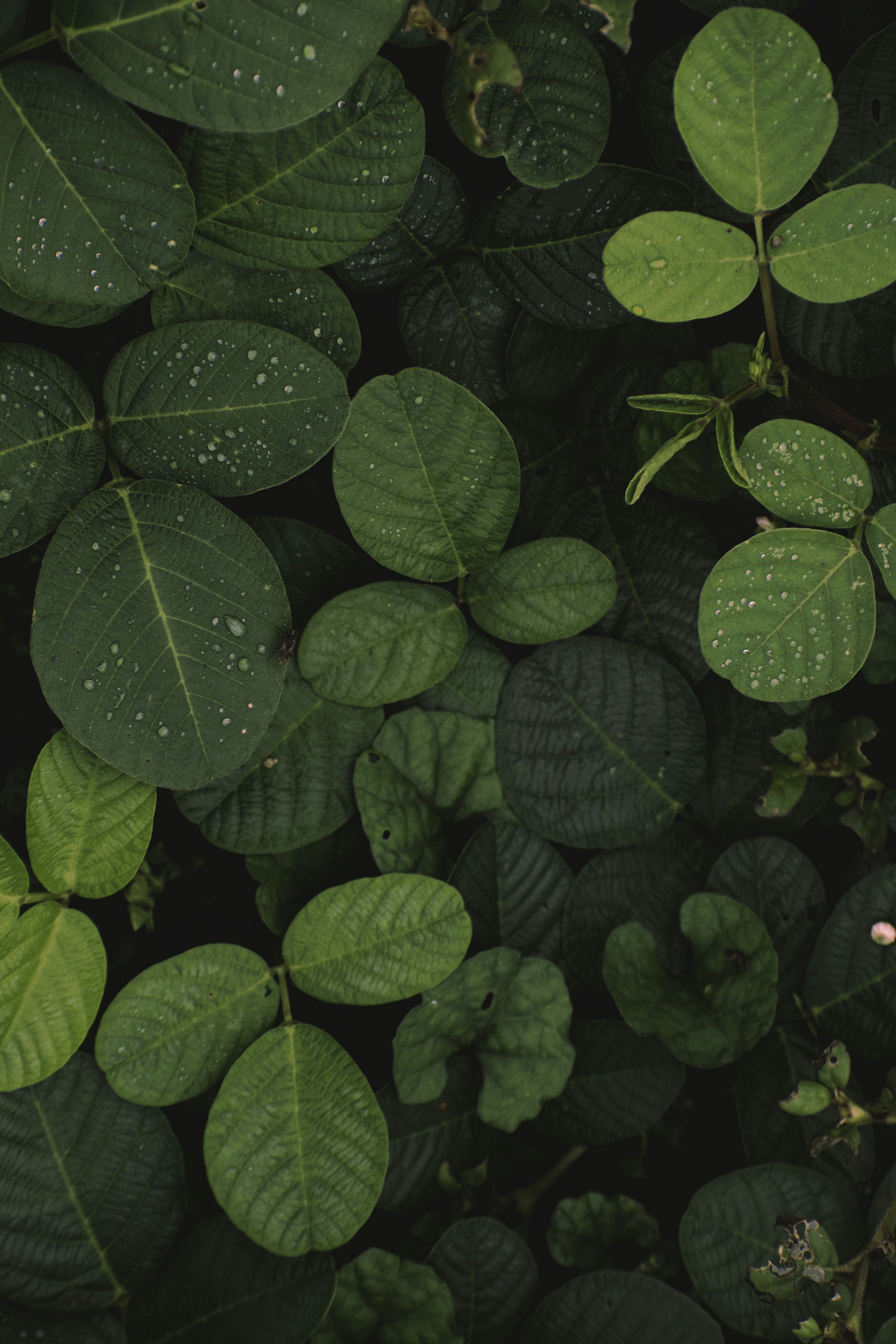 Photo by navi_photography