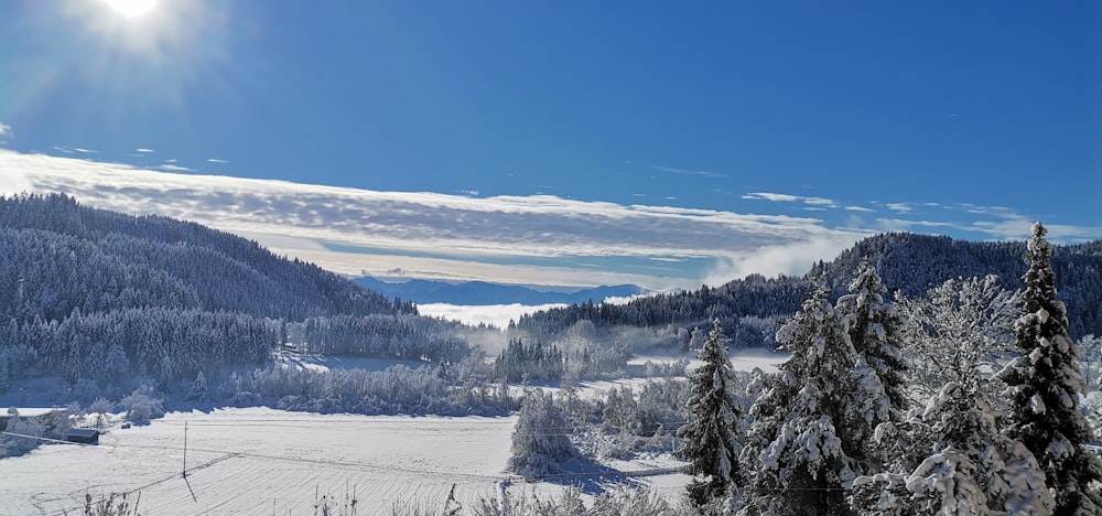 the sun shines brightly over a snowy landscape