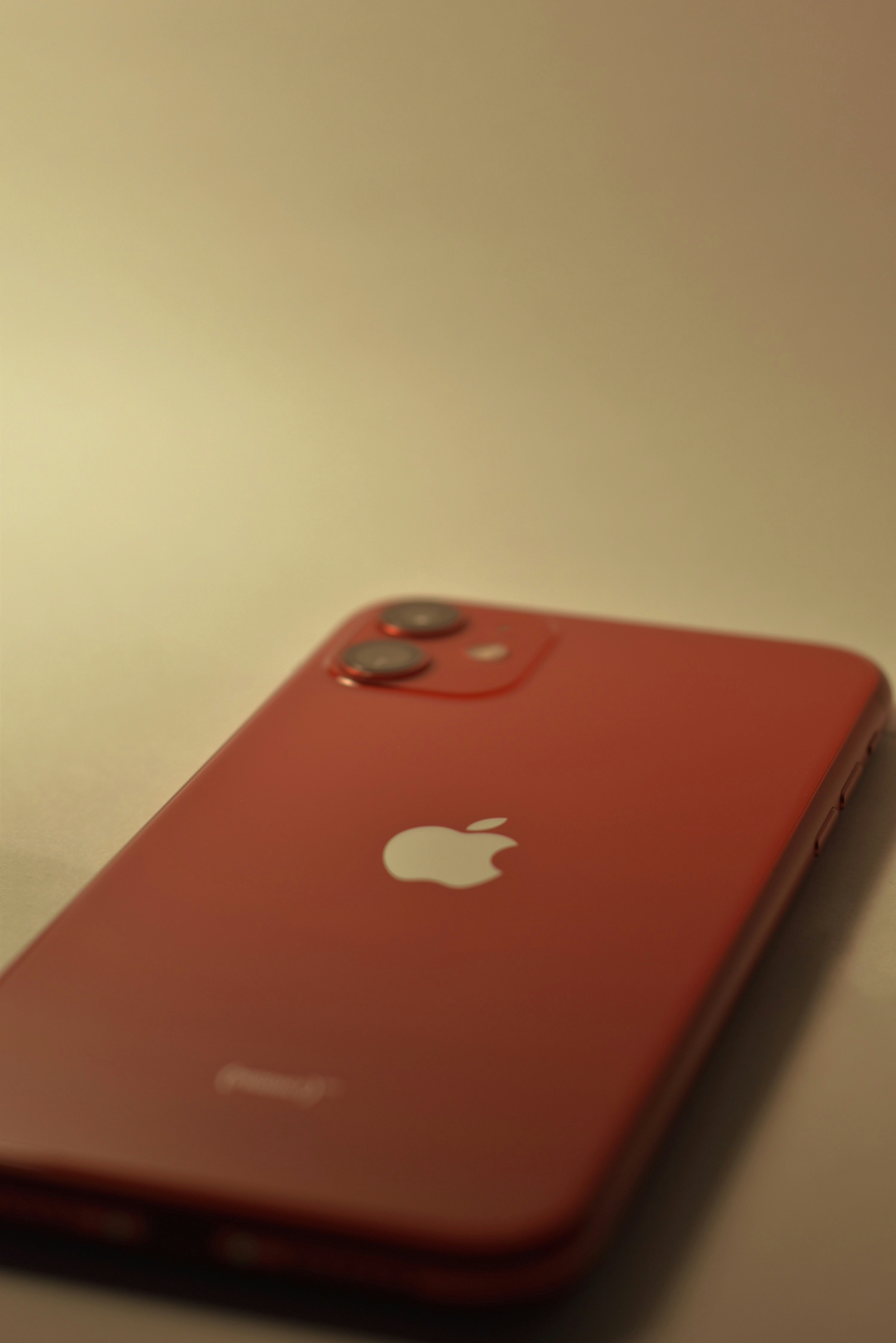 what is homomorphic encryption and how does it relate to federated learning