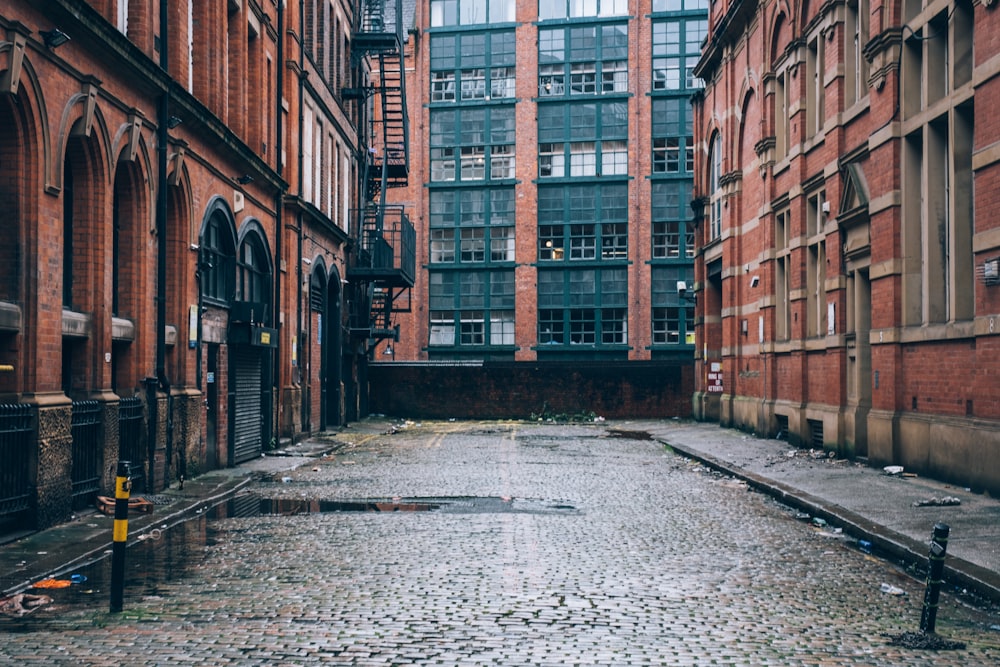 a cobblestone street in a large city