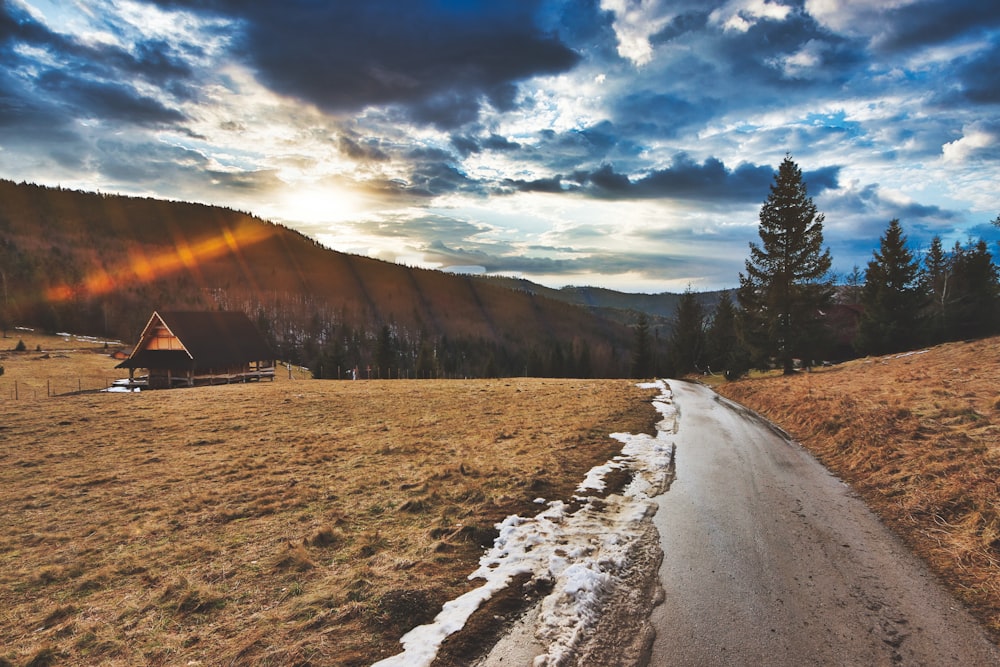 a dirt road in the middle of a field