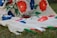 A piece of fabric with a floral design featuring vibrant red and blue flowers connected by green stems and leaves. The fabric is draped over grass, creating a natural backdrop that contrasts with the vivid colors of the textile.