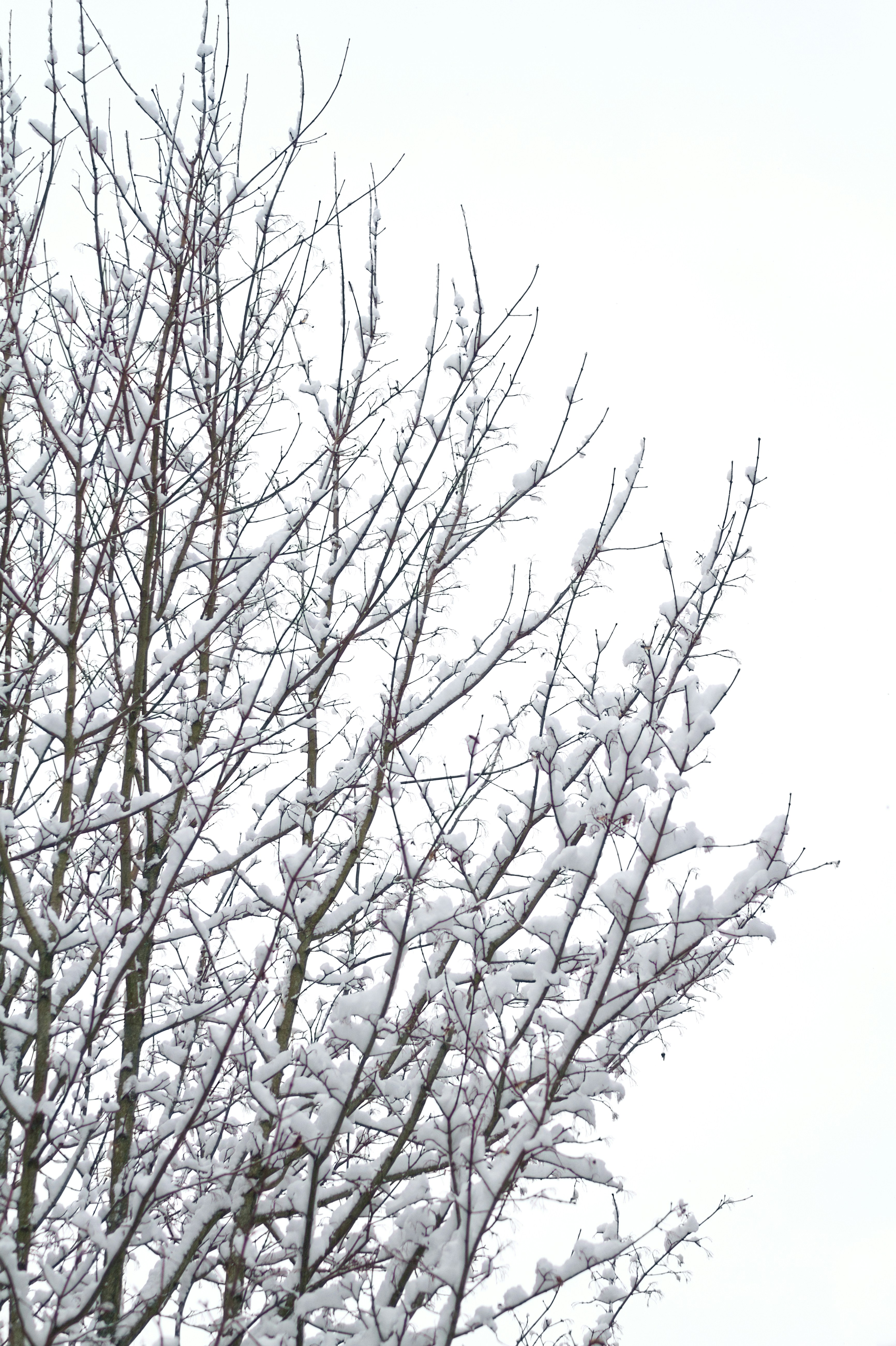 Photo by risto_kokkonen