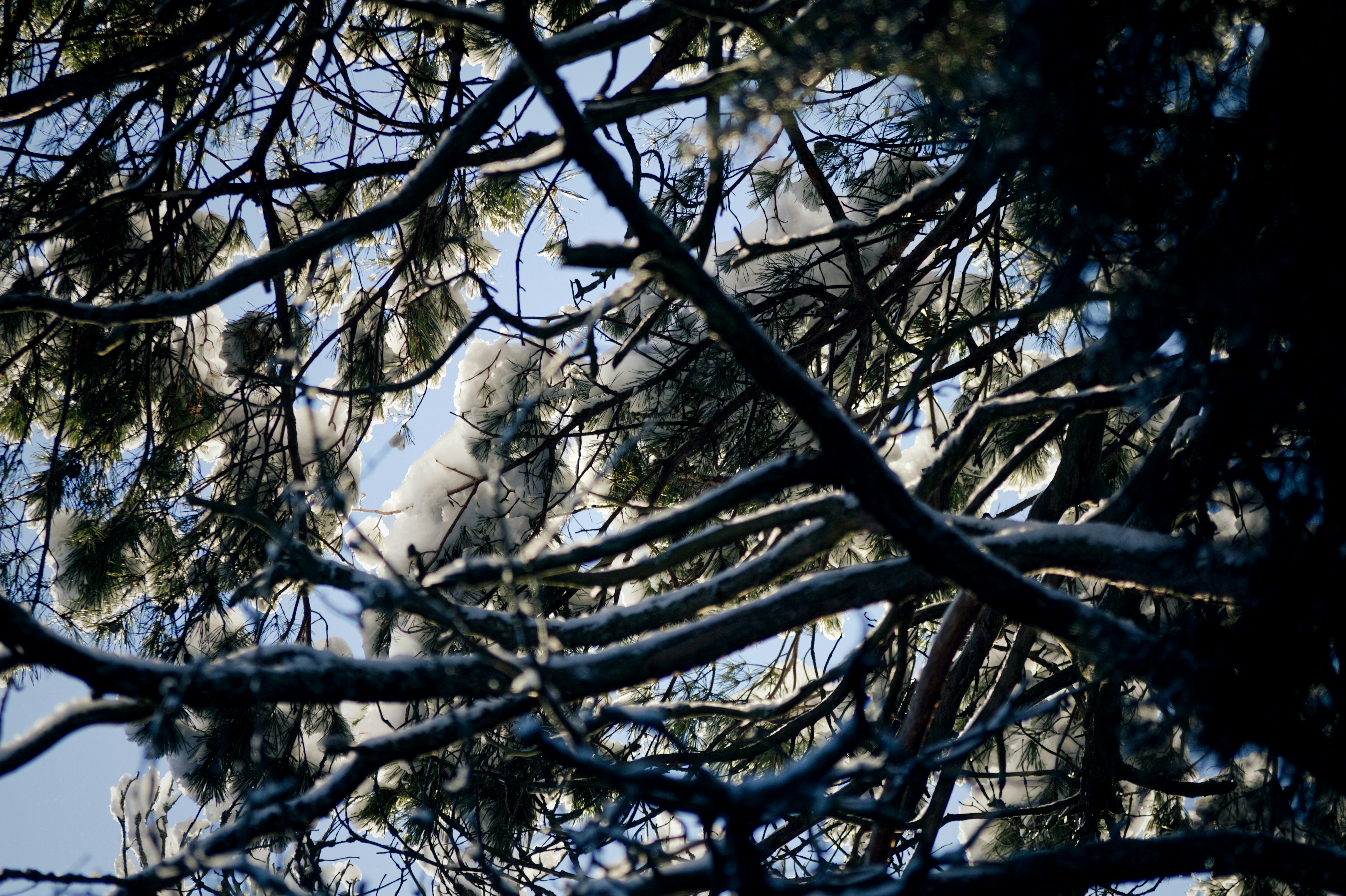 Photo by risto_kokkonen