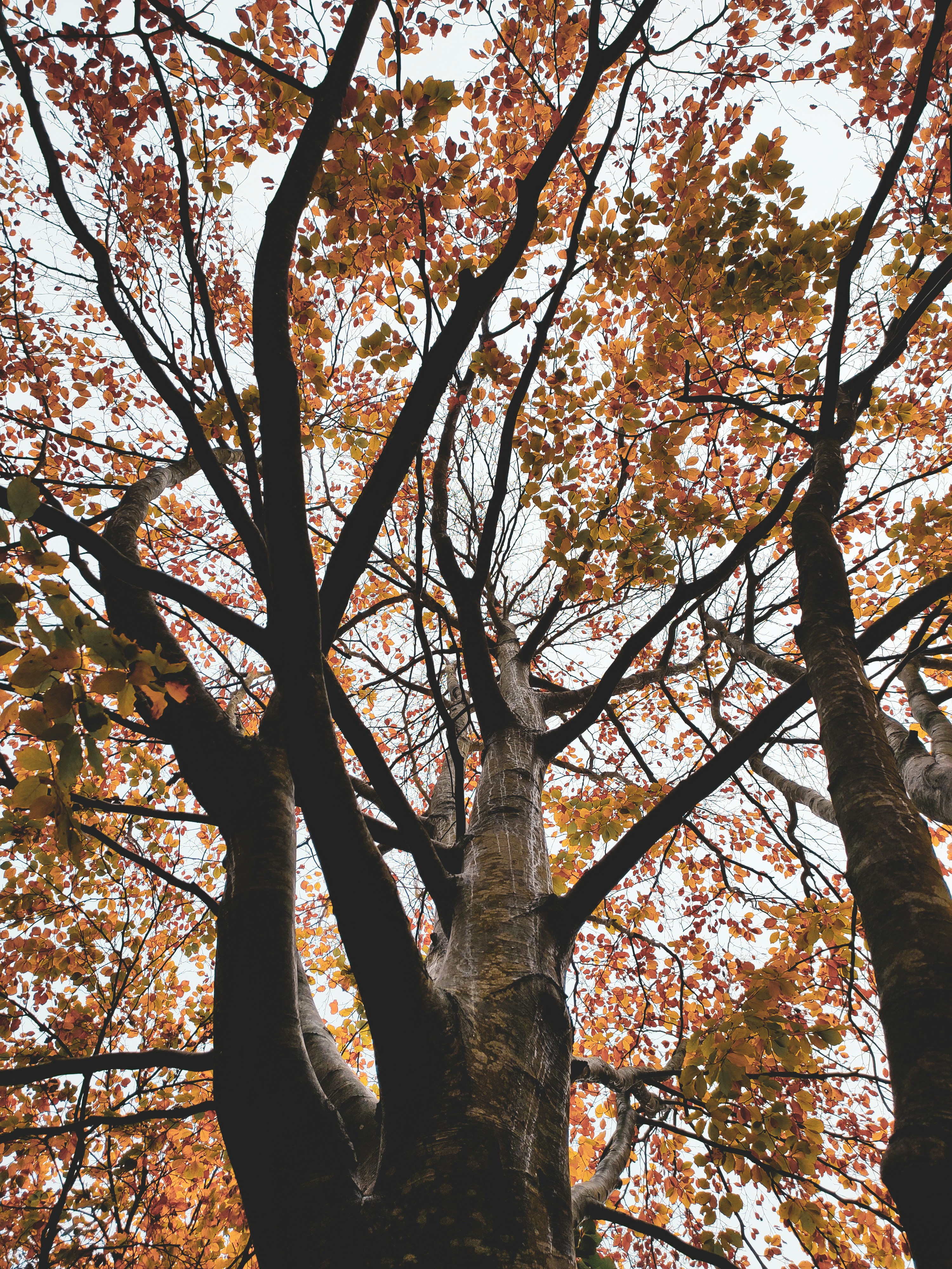 Photo by shettynithin181