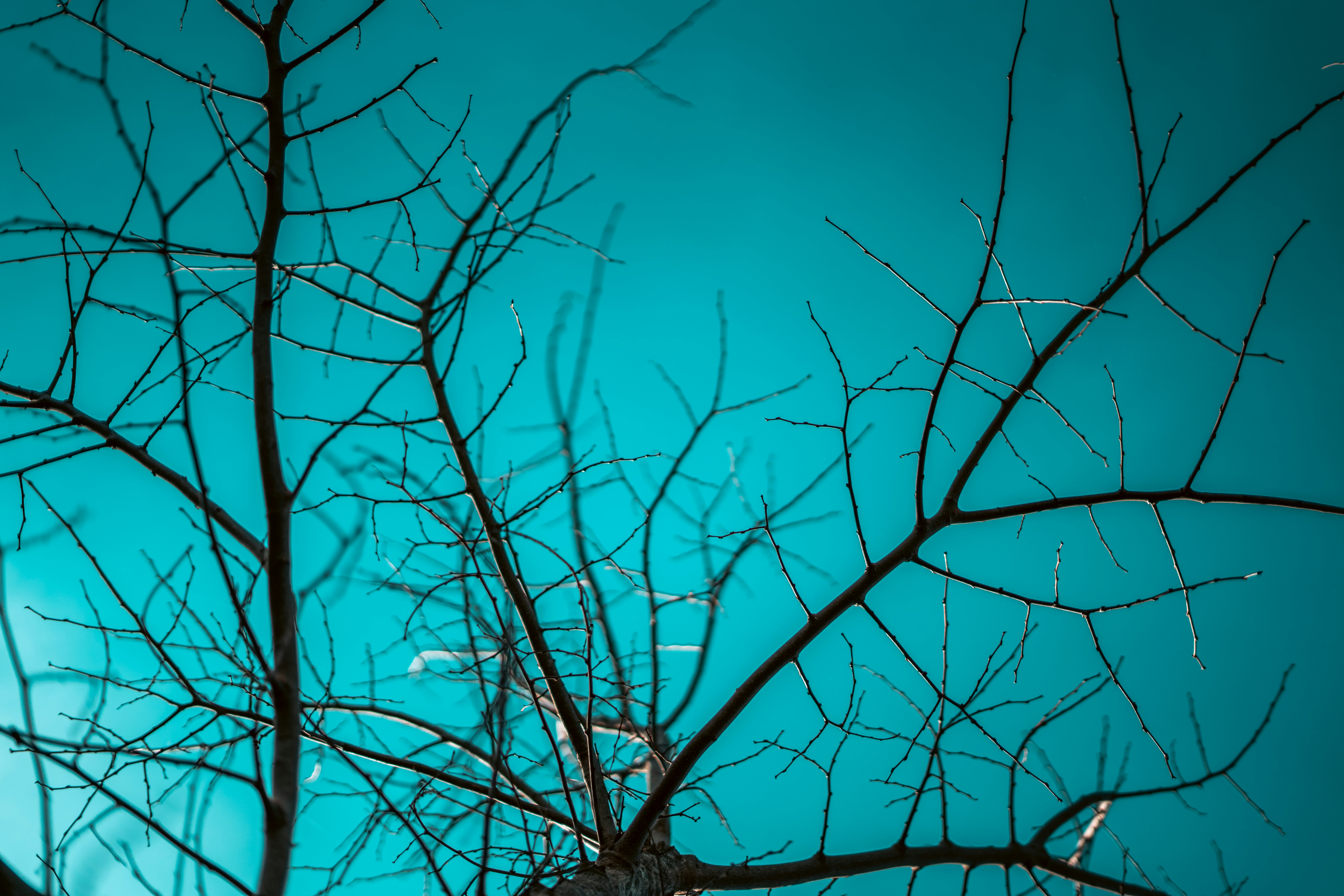 Photo by ykolodiy_photography