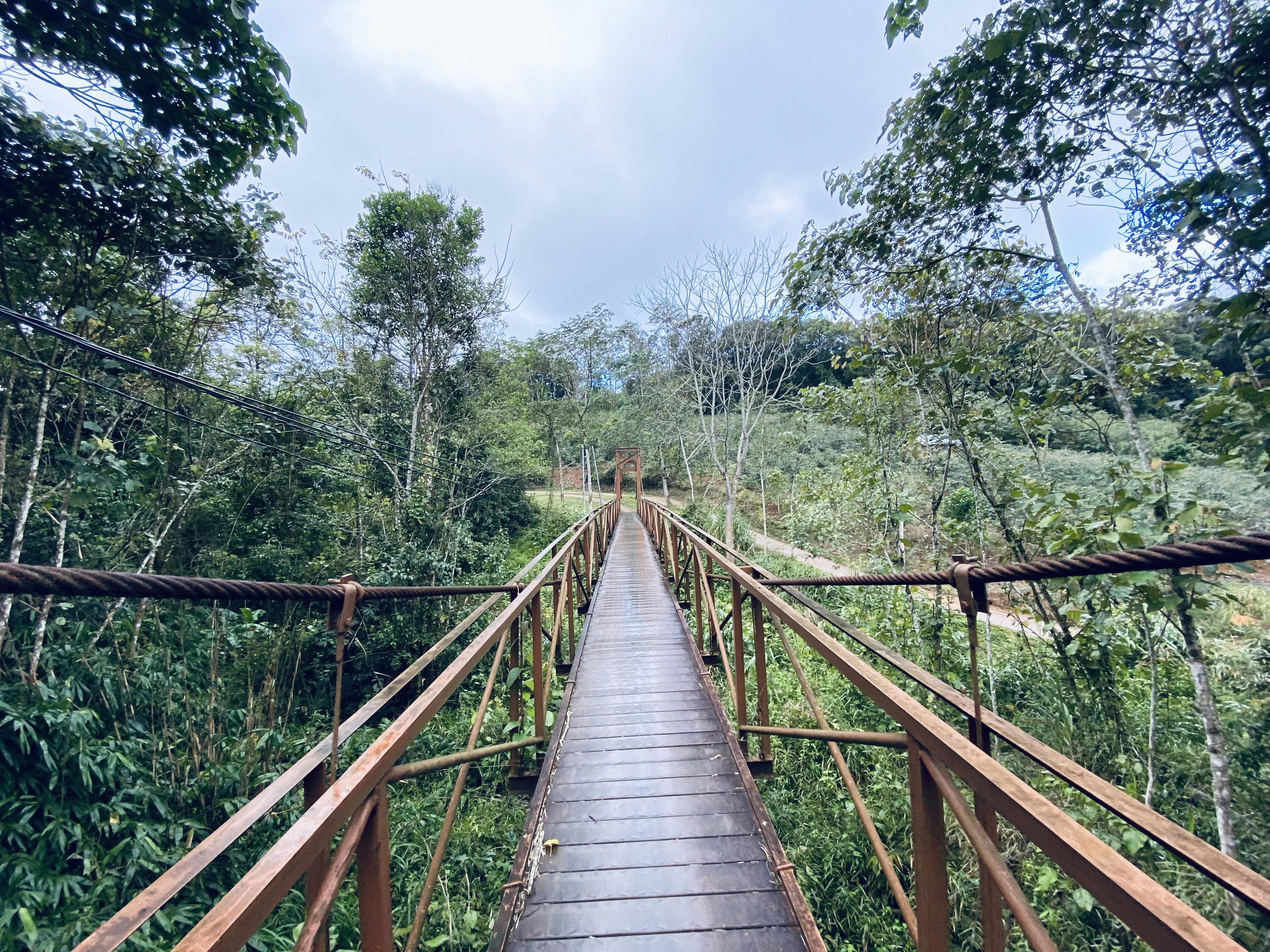 Photo by trantuannghia