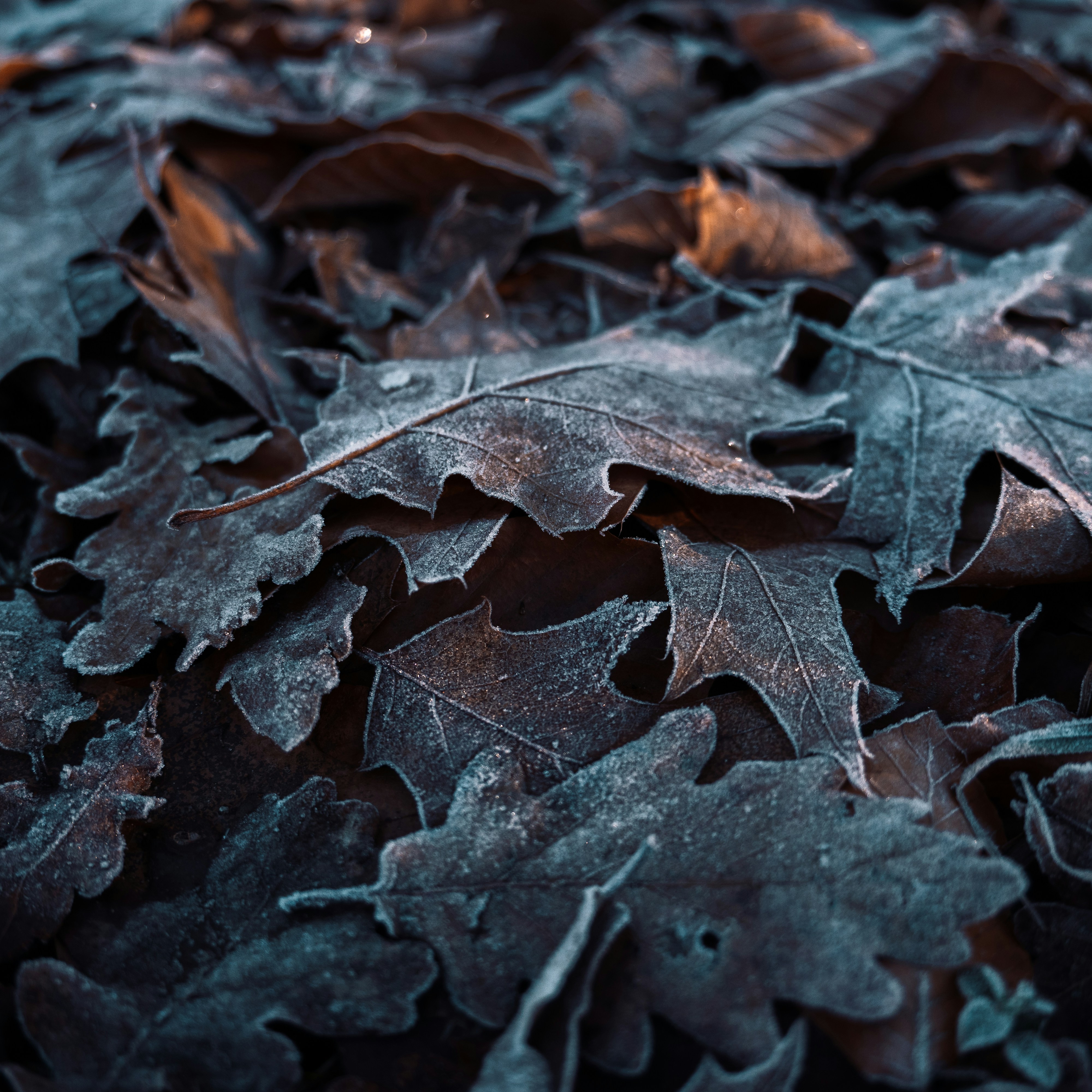 Photo by neilerua_aurelien