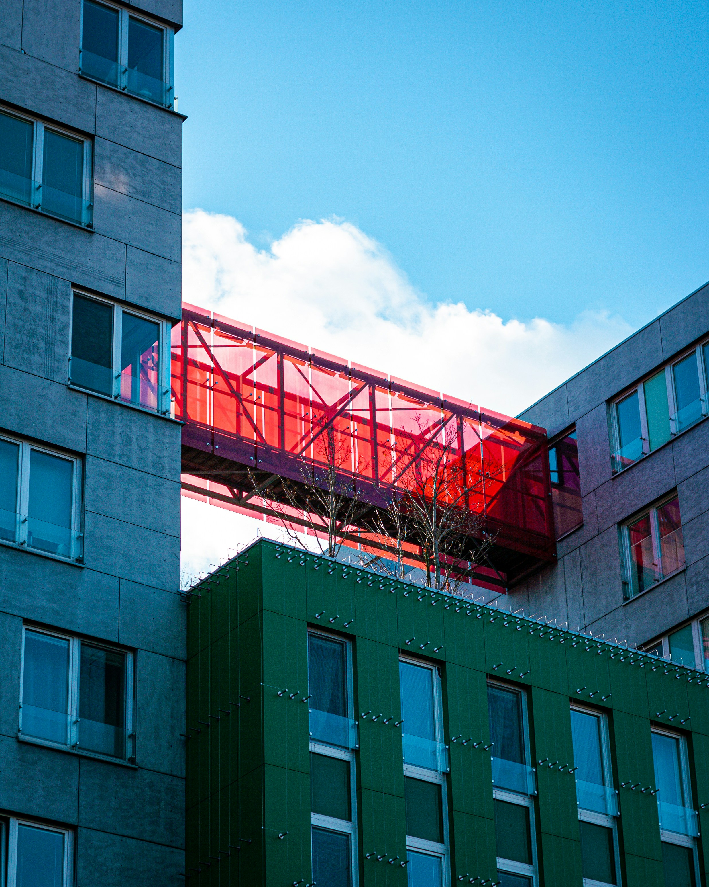 Photo by tomas_chudy