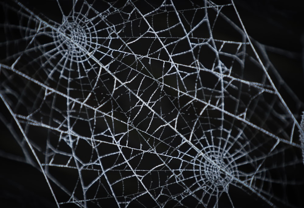 a close up of a web page