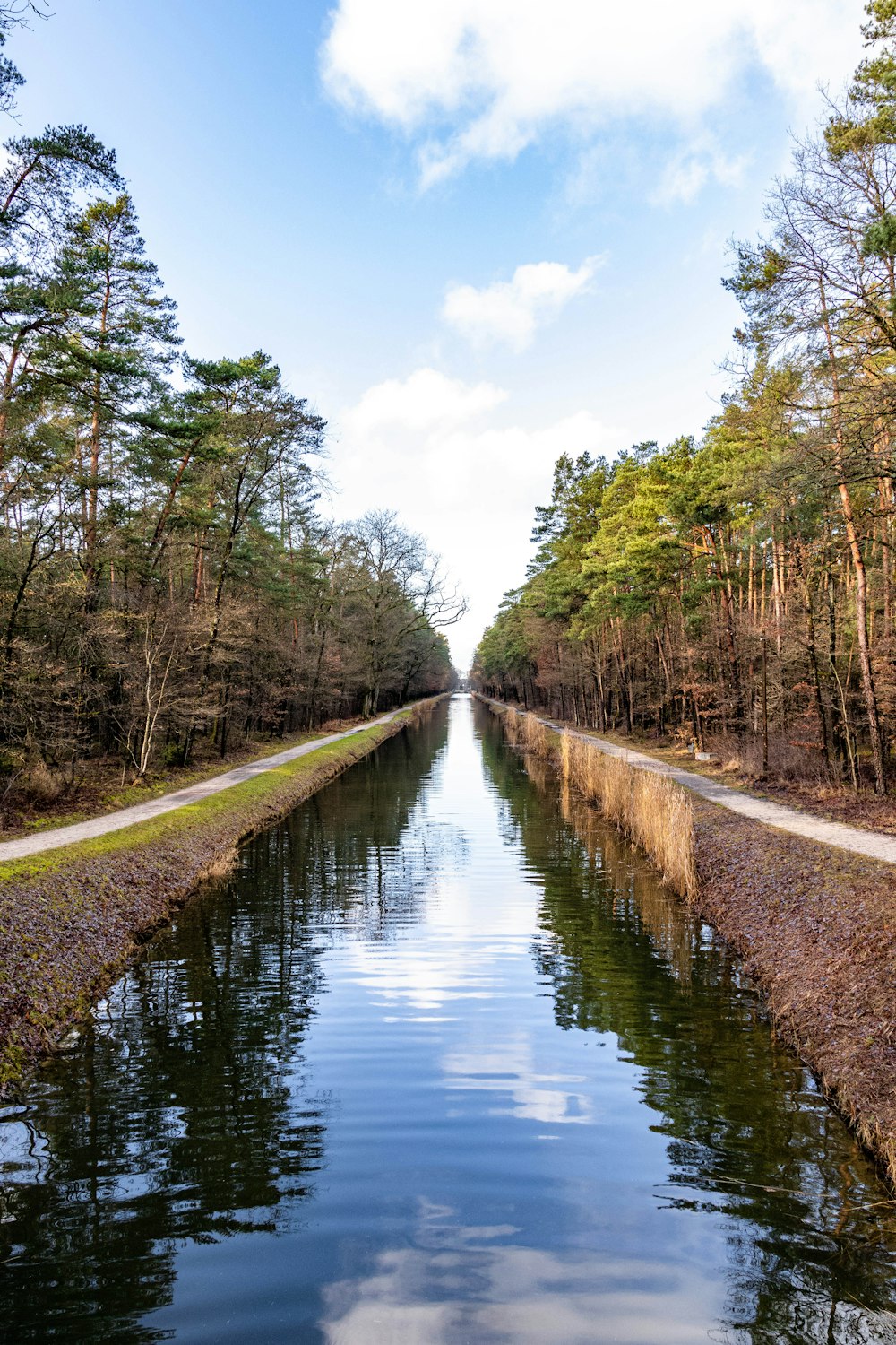 a narrow waterway surrounded by trees and grass