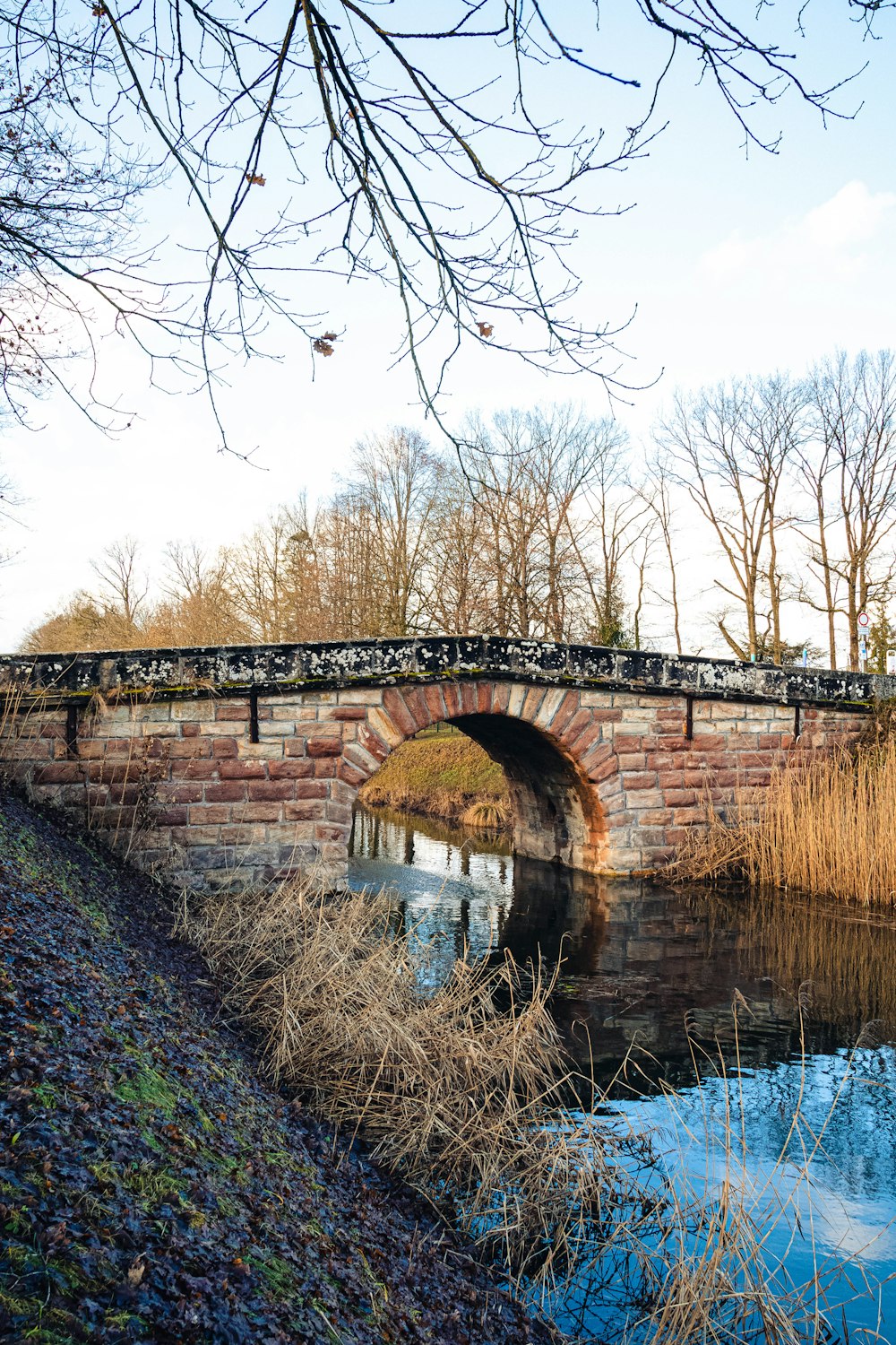 a stone bridge over a small river in a park