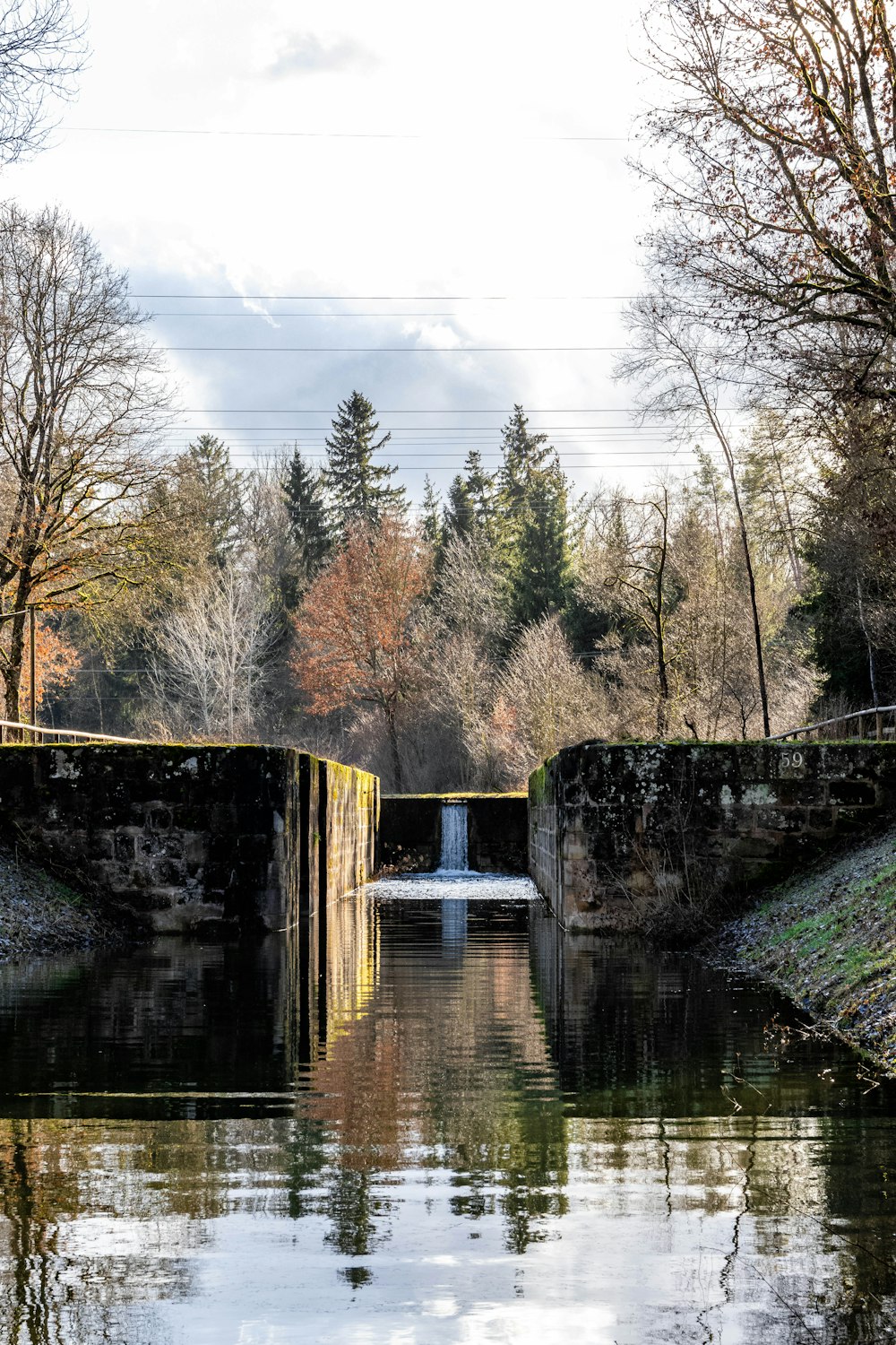 a body of water surrounded by trees and a bridge