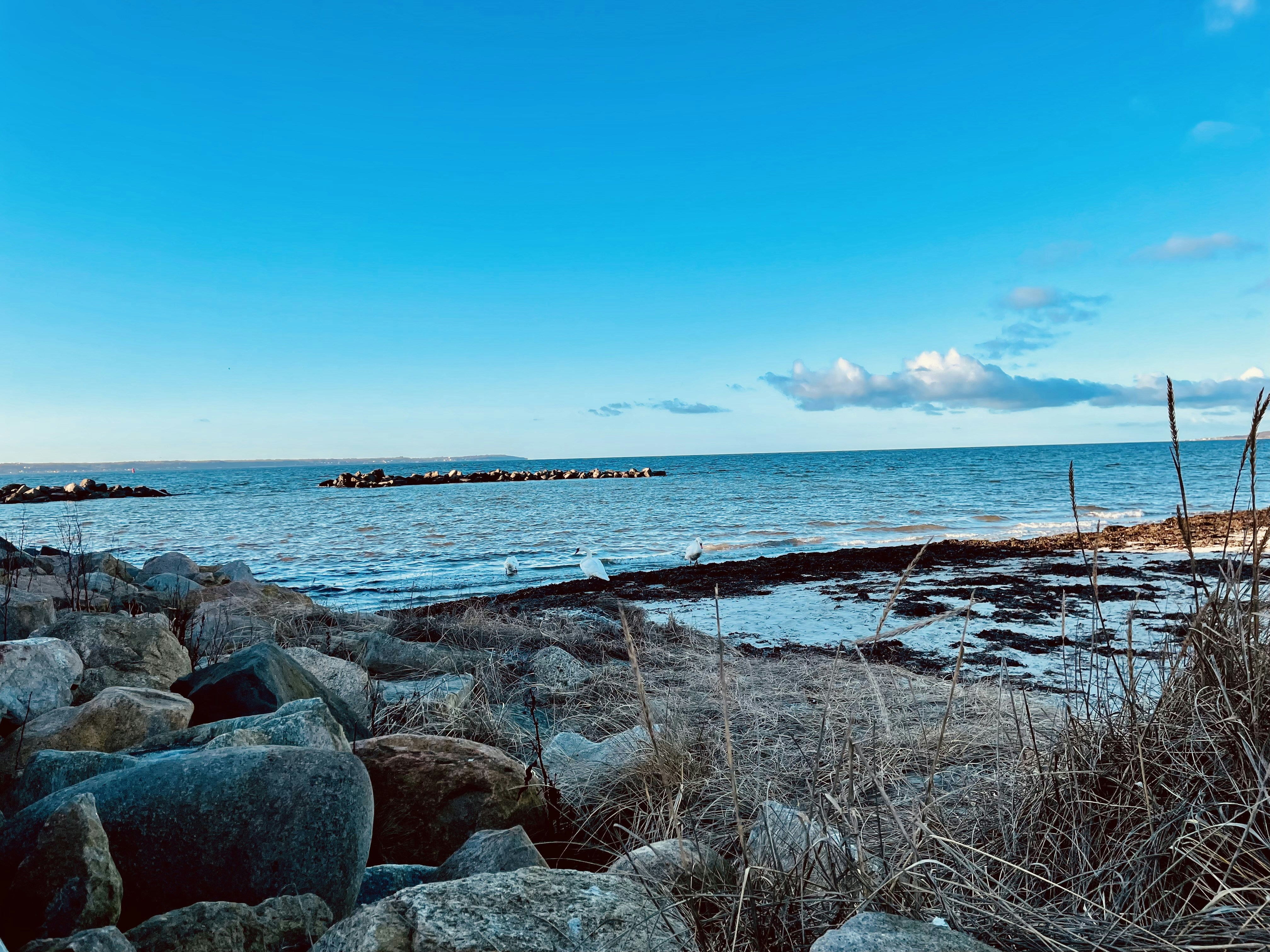 Photo by devthoughts