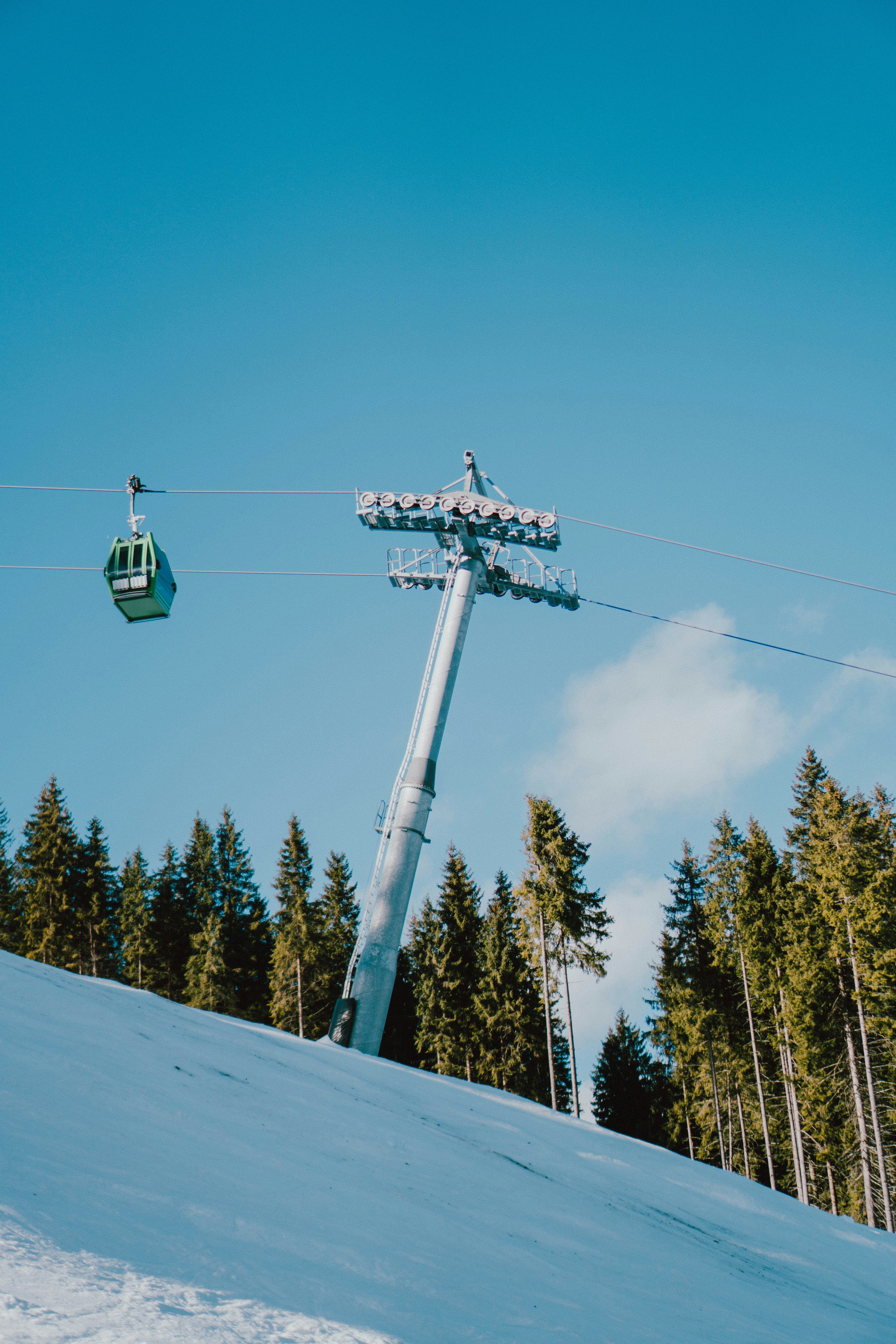 Photo by luisgherasim