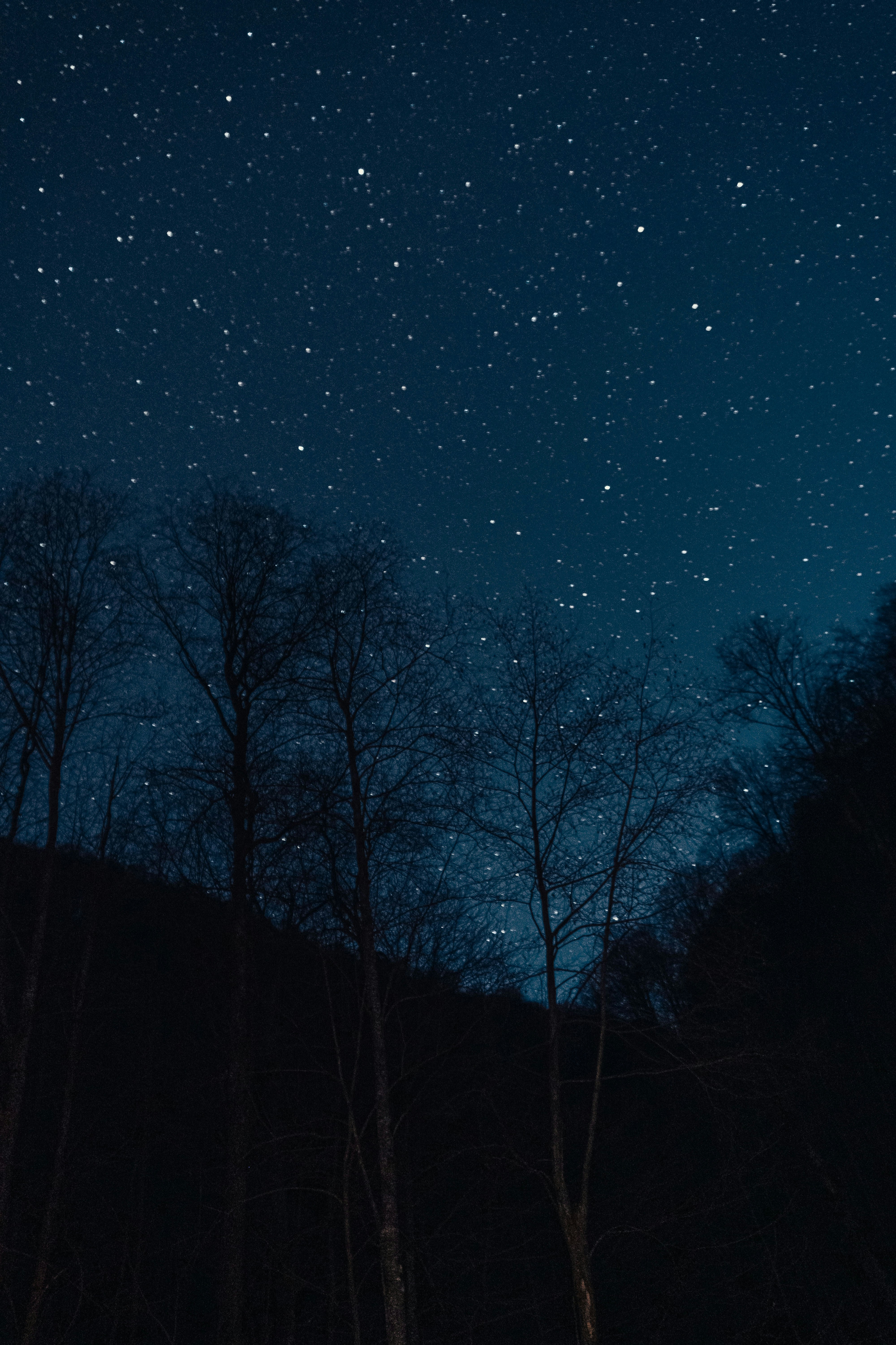 Photo by luisgherasim