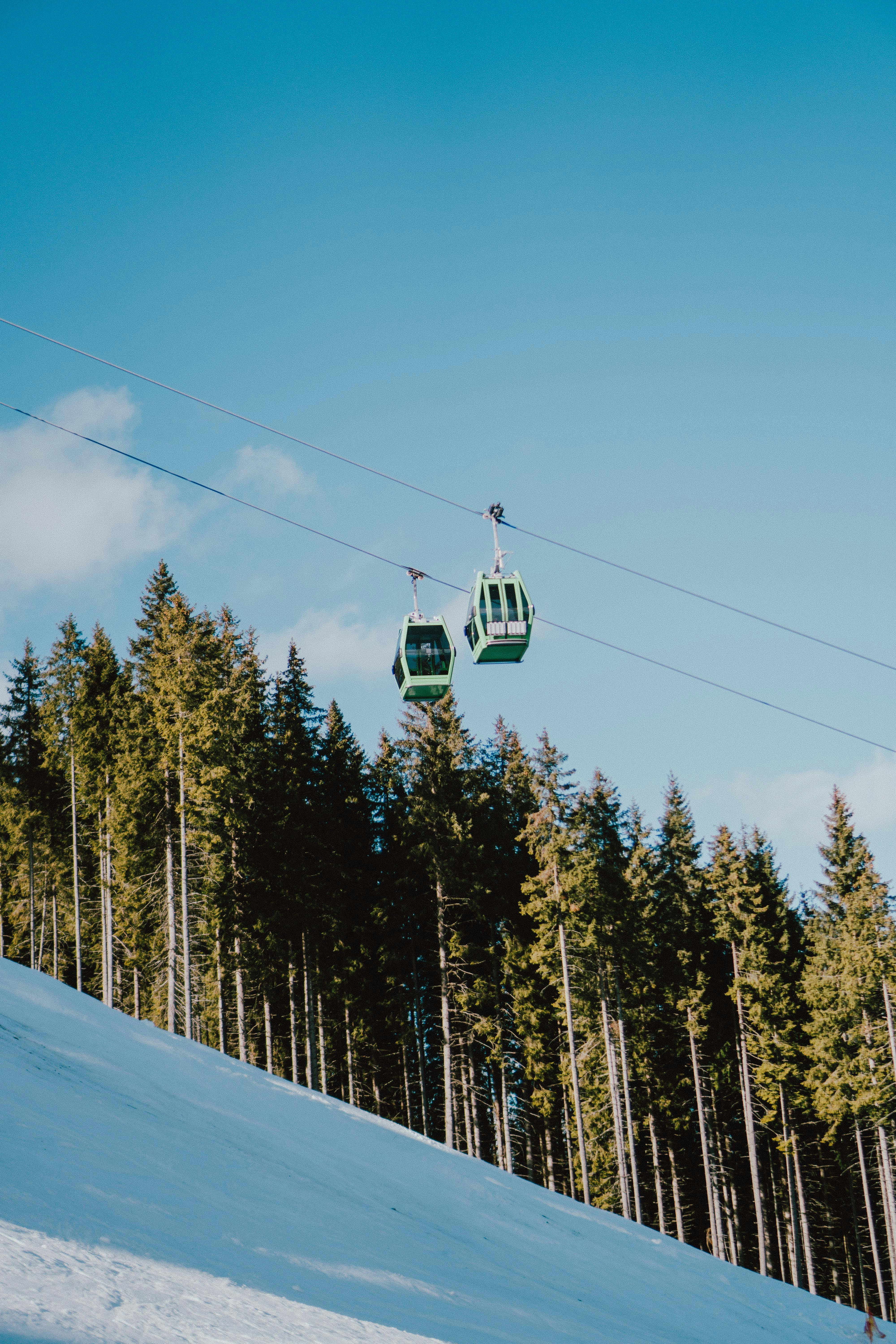 Photo by luisgherasim