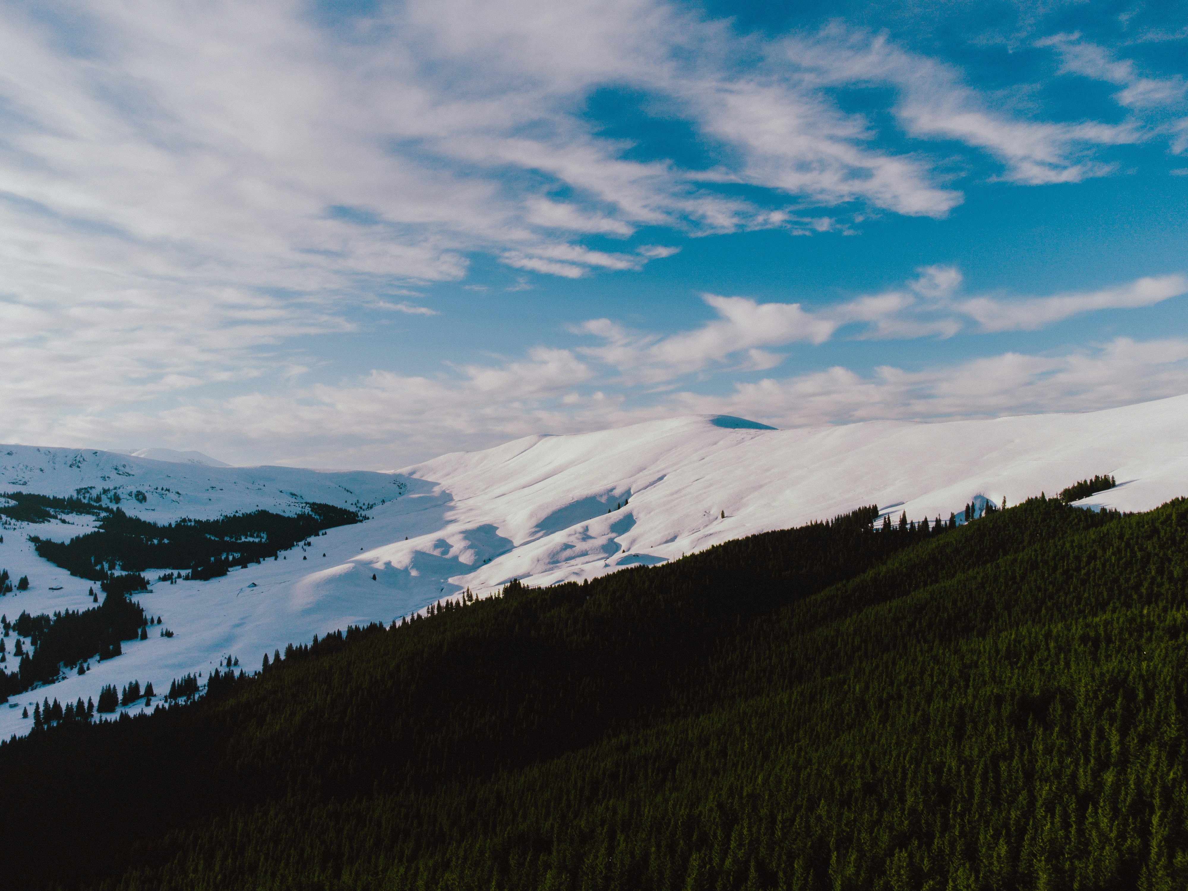 Photo by luisgherasim