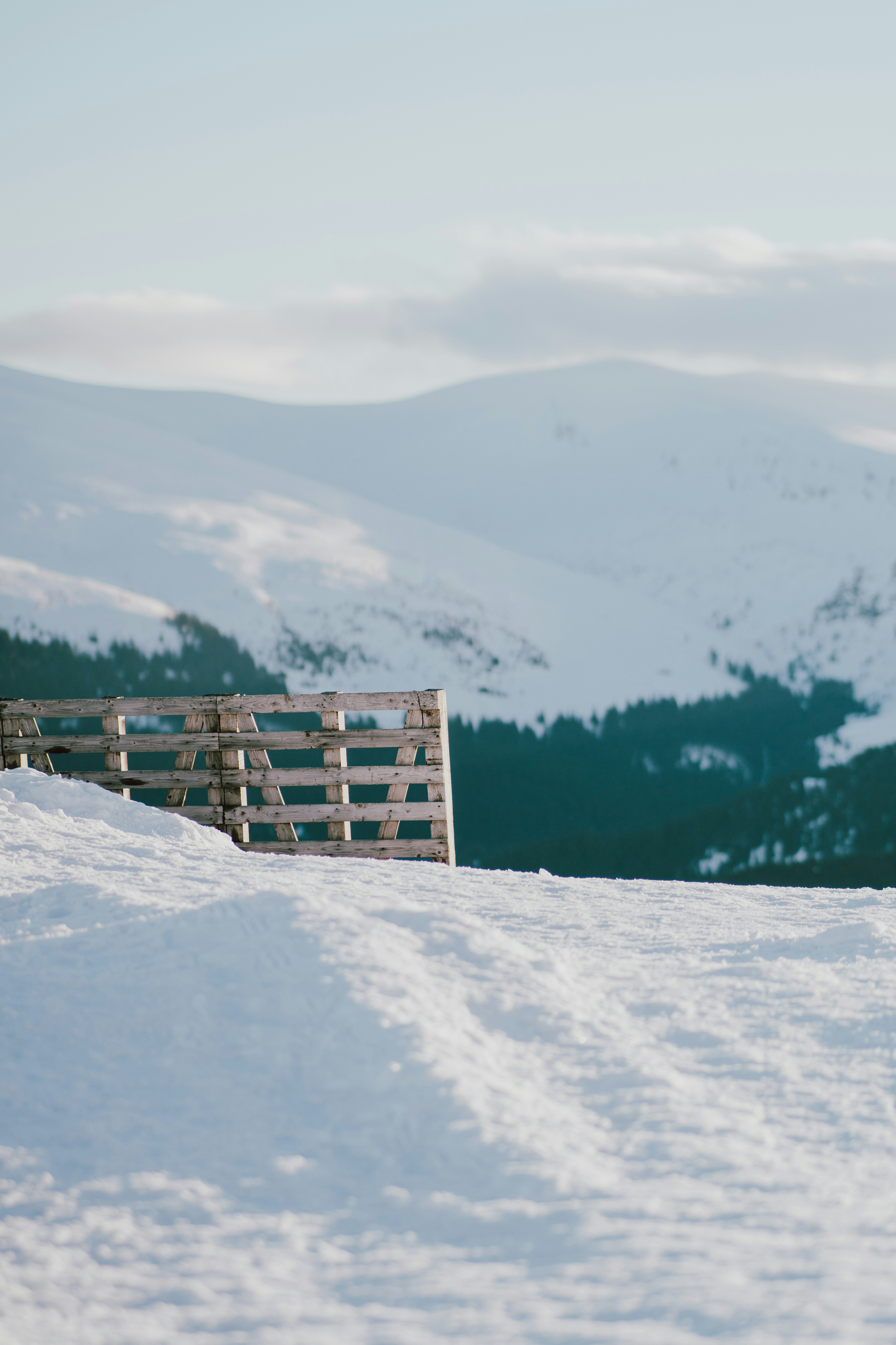 Photo by luisgherasim