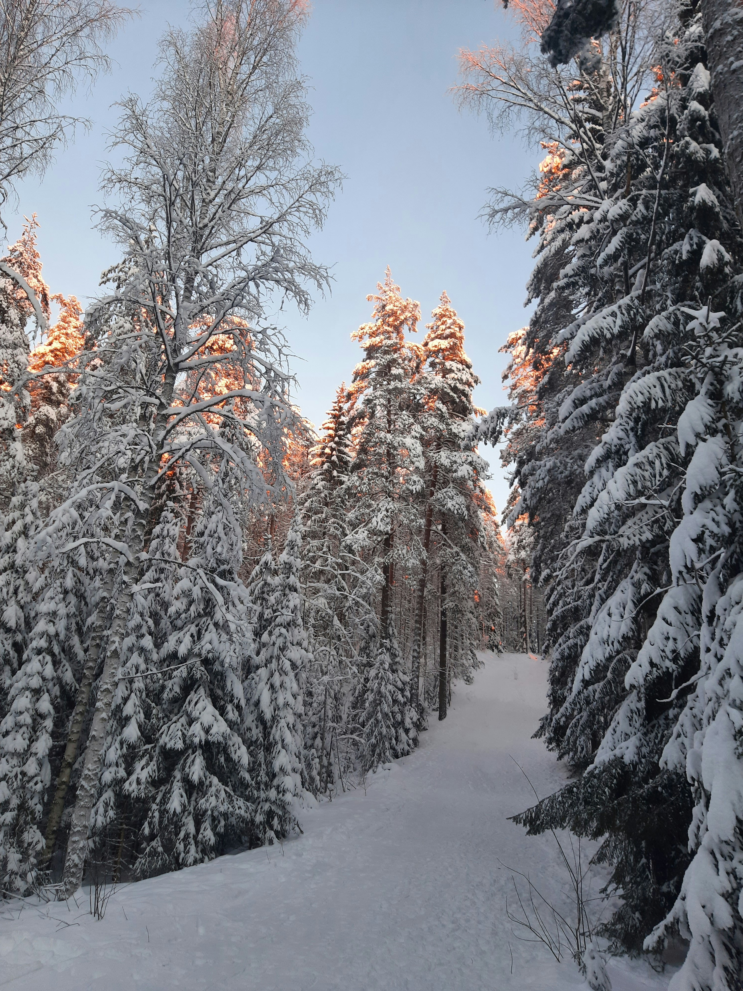 Photo by northernpagan