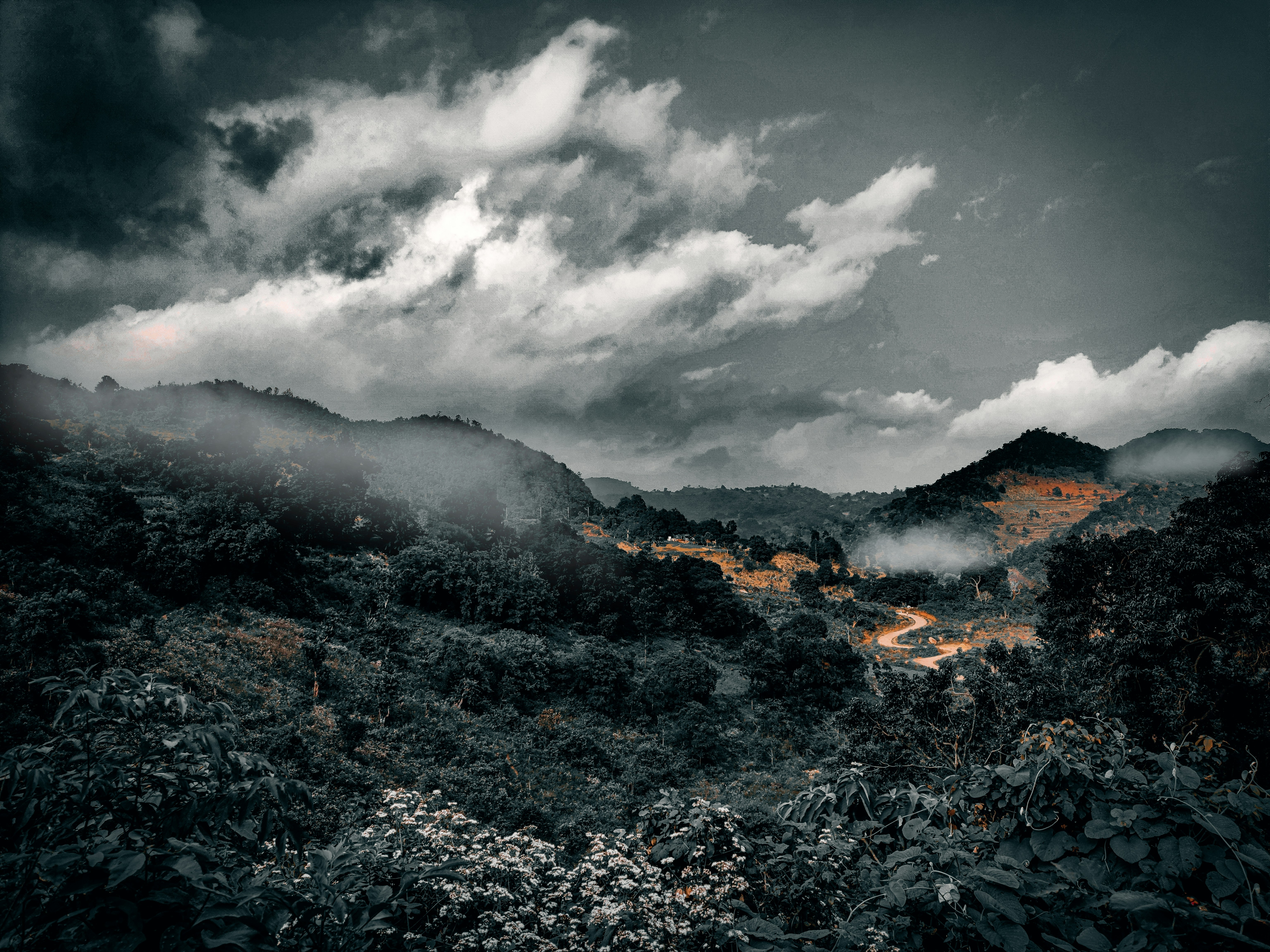 Photo by aswinikumar