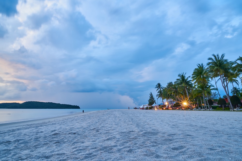 a sandy beach with palm trees and a cloudy sky