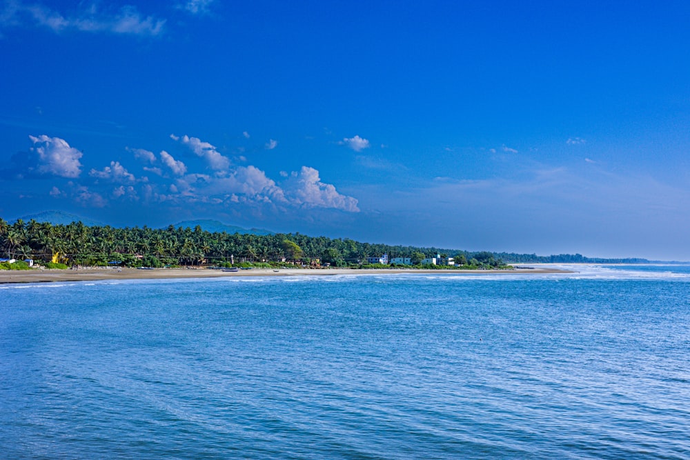 una vista di una spiaggia dall'acqua