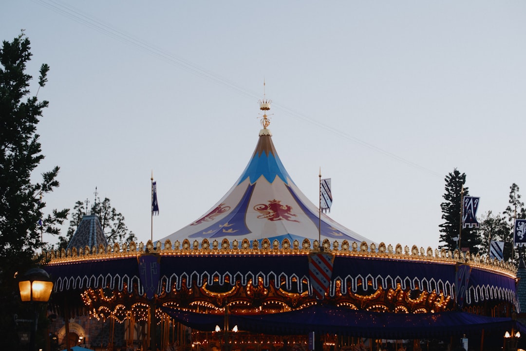 a merry go round in a park at dusk,